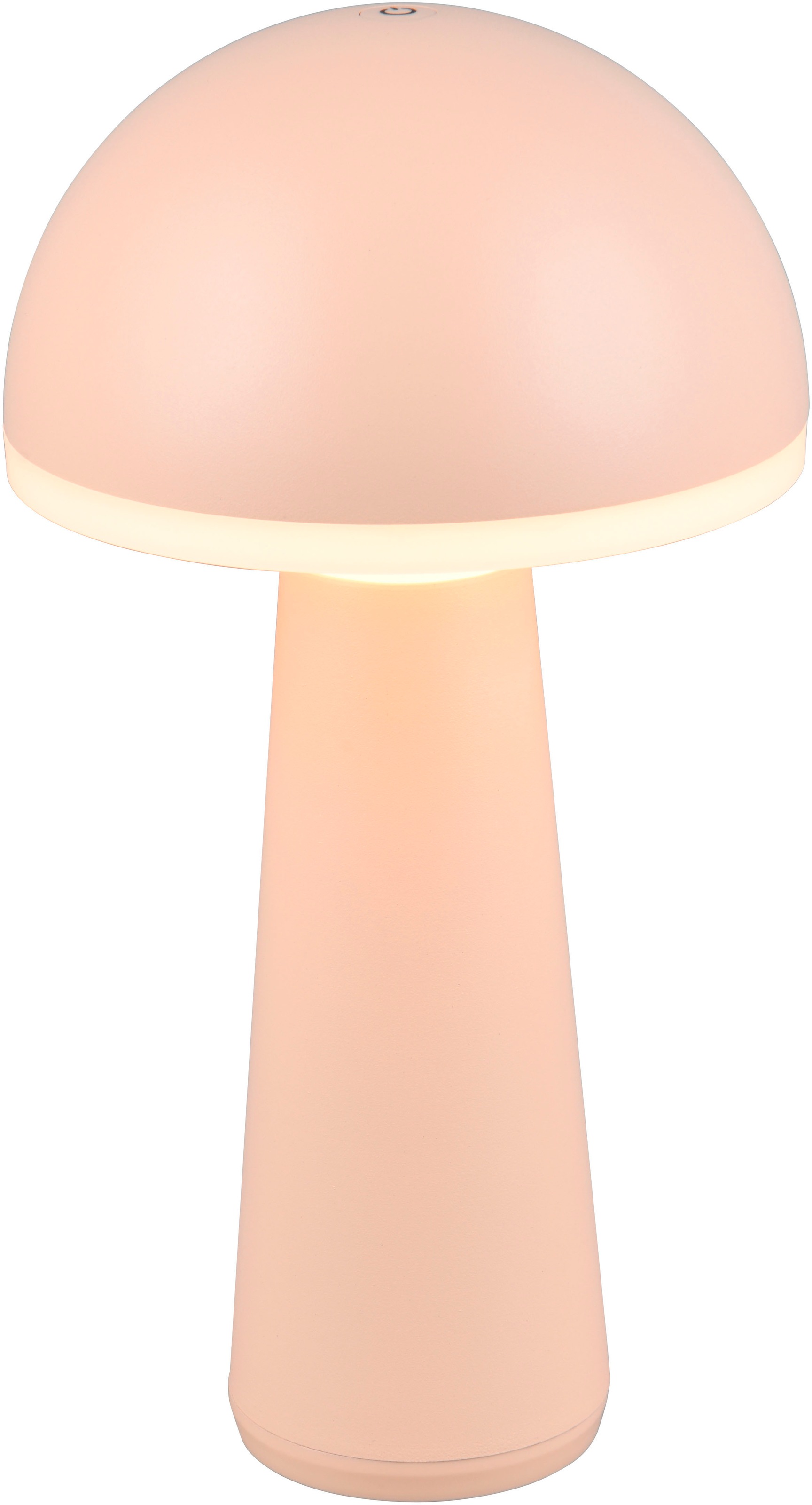 REALITY Leuchten LED Außen-Tischleuchte "FUNGO" LED-Board 1 Stk. warmweiß - günstig online kaufen