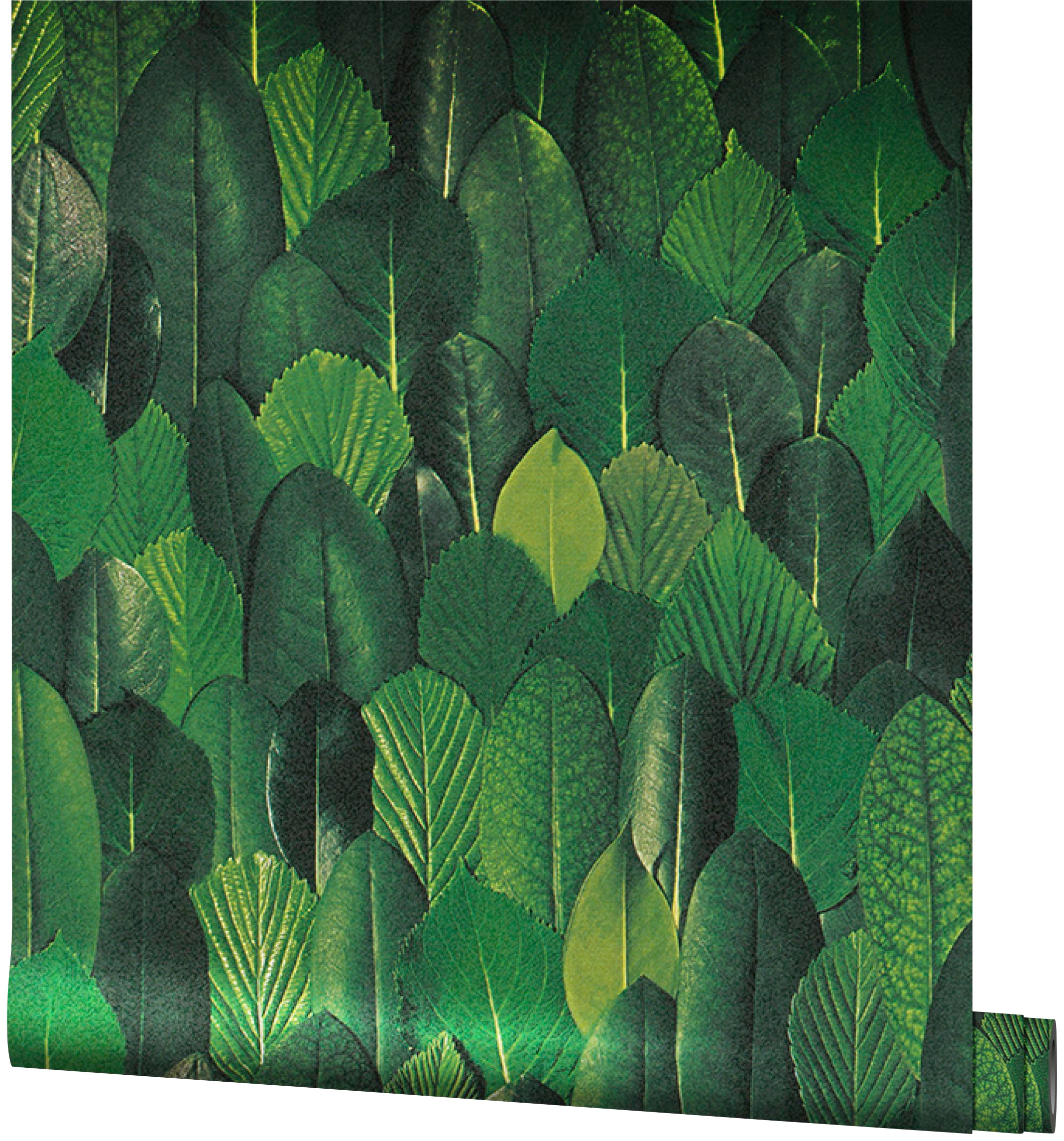 Marburg Vliestapete botanisch Blattoptik, moderne Tapete für Wohnzimmer Schlafzimmer Küche