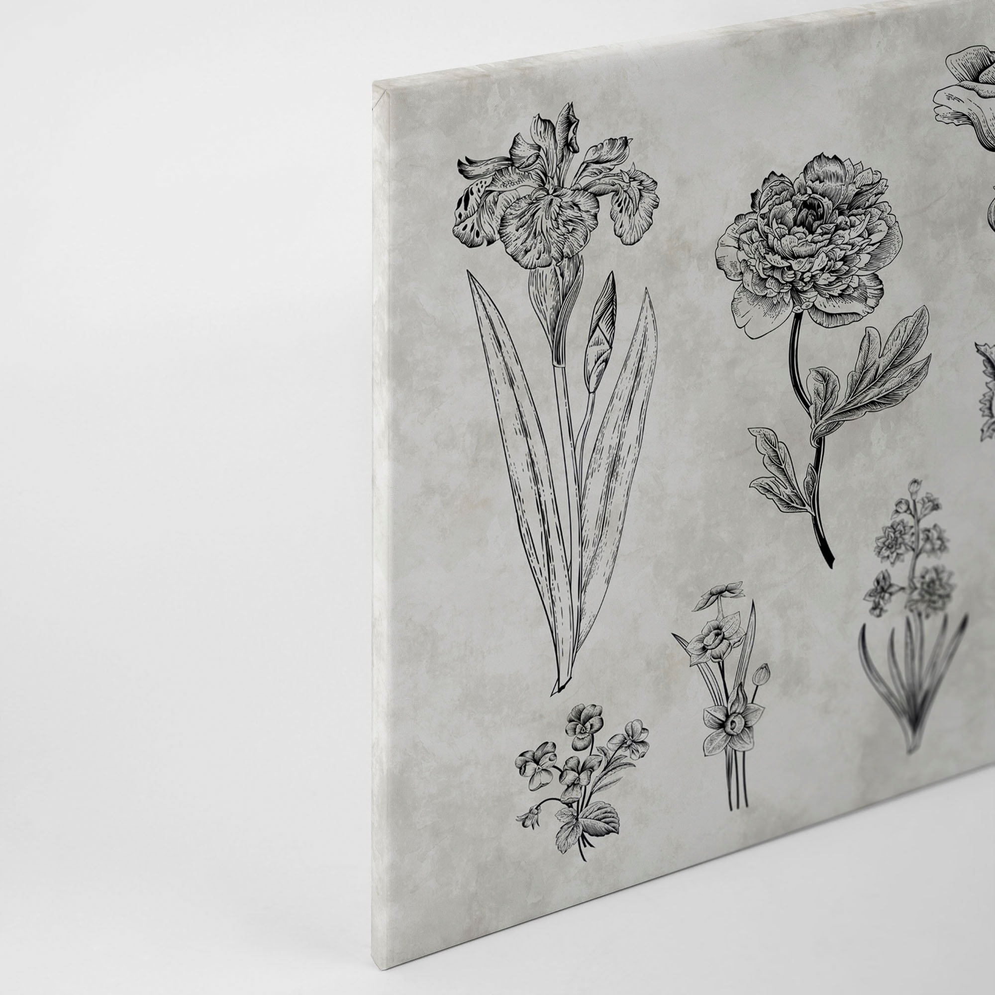 A.S. Création Leinwandbild »sketchpad«, (1 St.), Schwarz-Weiß Zeichnung Floral Keilrahmen Bild