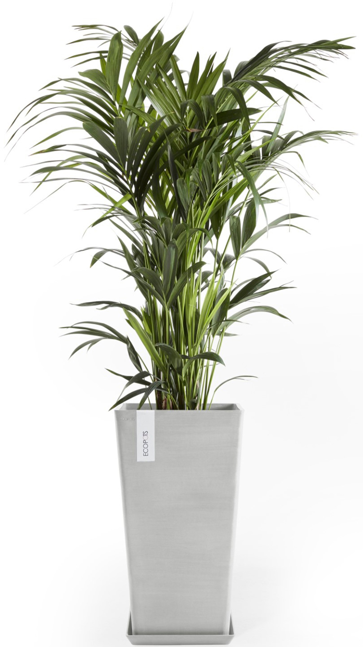 ECOPOTS Blumentopf »Rotterdam halbhoch 56 Weißgrau«, für innen und außen: frostsicher, bruchsicher und lichtbeständig