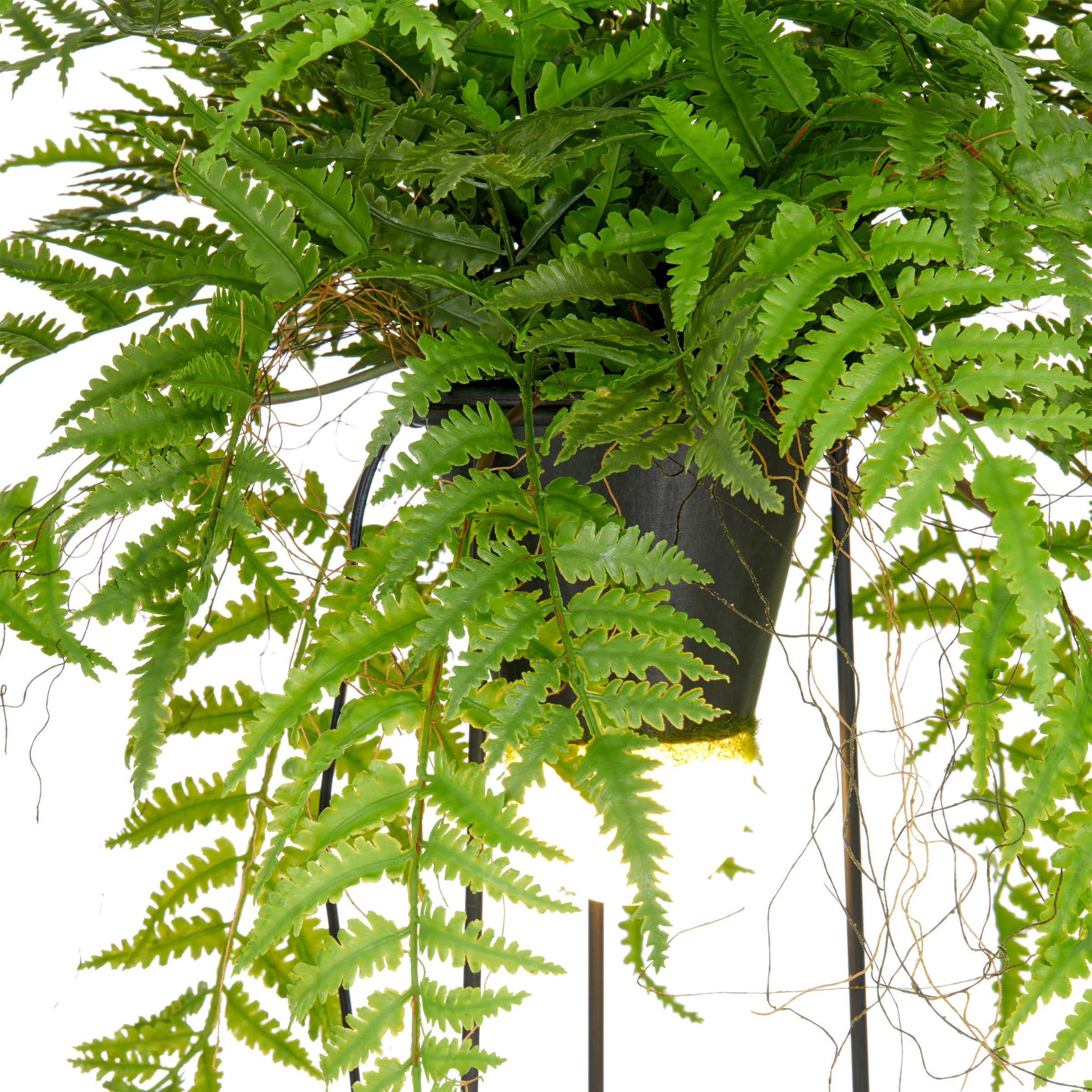 Creativ green Kunstpflanze »Farn als Dekostandleuchte«, mit LED-Beleuchtung