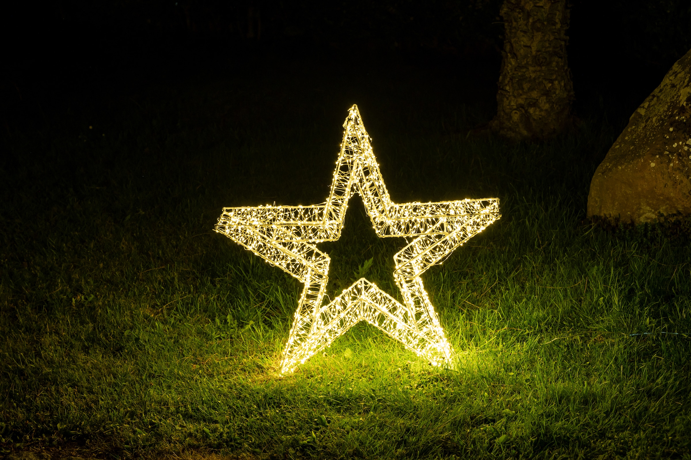 Star-Max LED Stern »Weihnachtsstern, Weihnachtsdeko aussen«, 2400 flammig-flammig, stromsparende LED