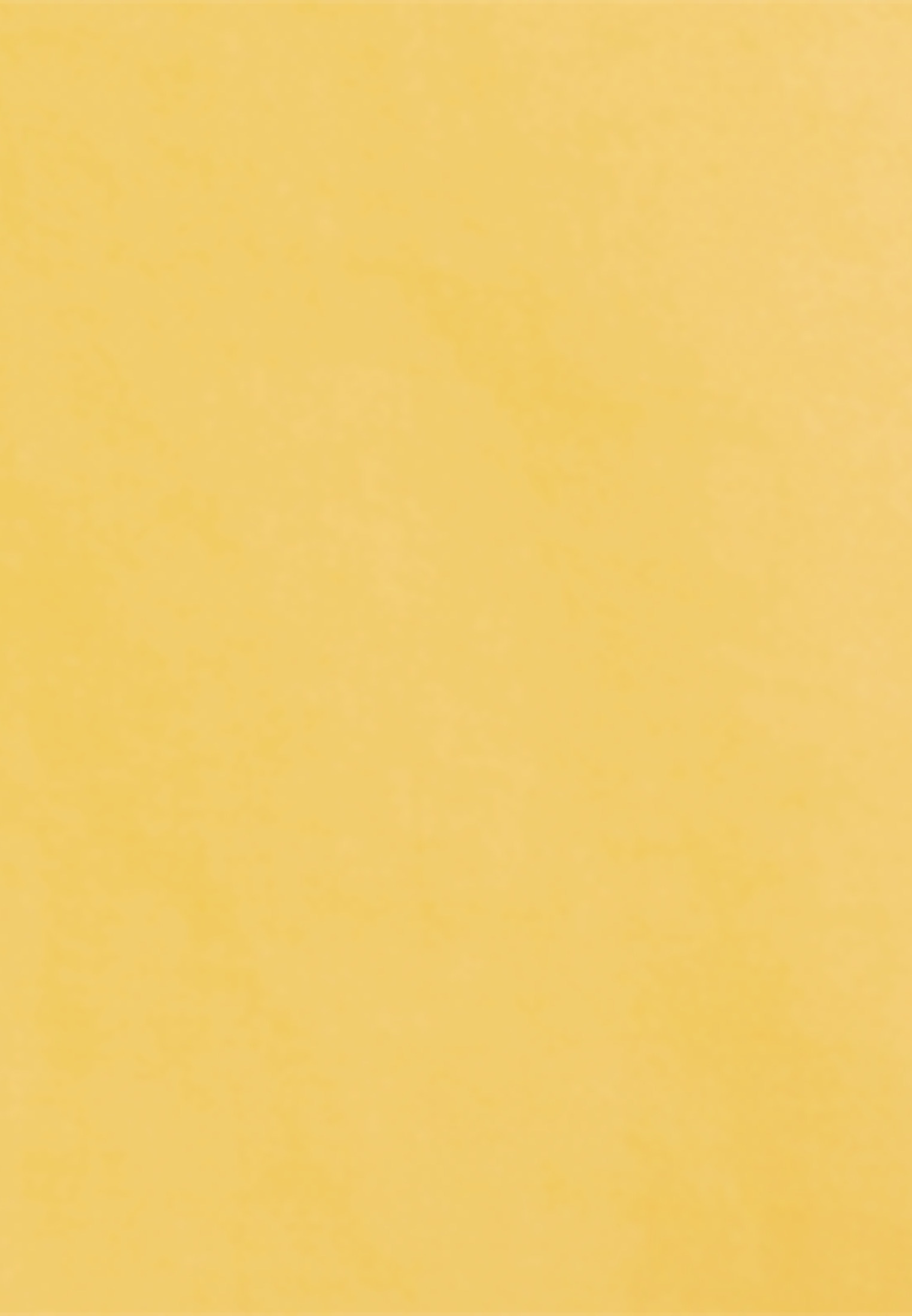 seidensticker Tunika »Schwarze Rose«