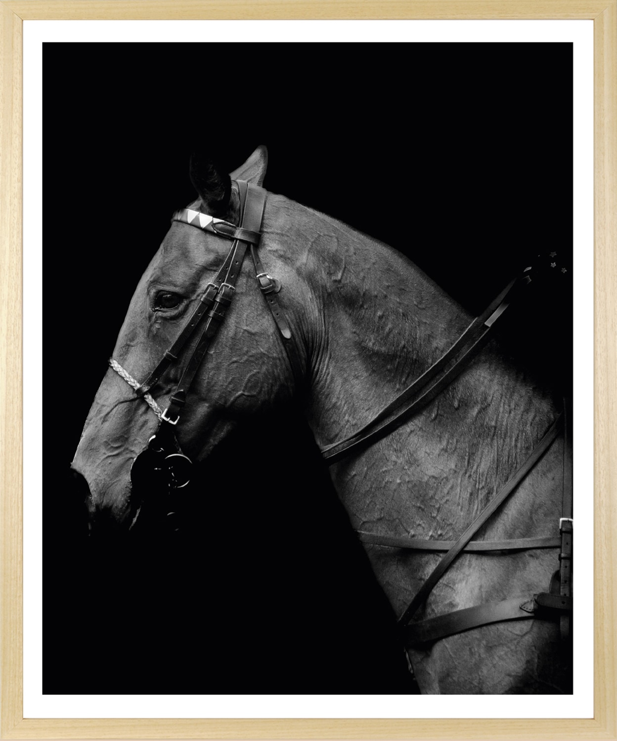 queence Bild mit Rahmen "Pferd, Pferdeprofil" Foto  Menschen  Pferde  Pferd günstig online kaufen
