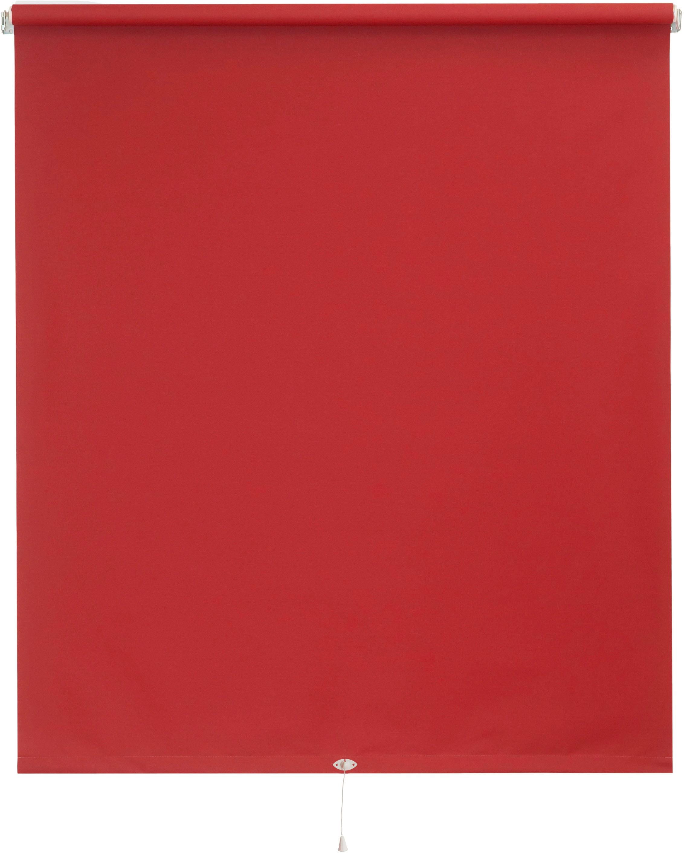 sunlines Springrollo »Uni« Lichtschutz su Bohre...
