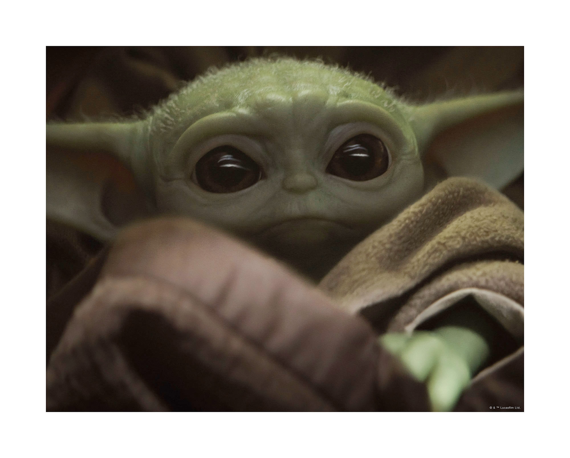 Komar Bild "Mandalorian The Child Cute Face", Disney-Star Wars, (1 St.), Wa günstig online kaufen