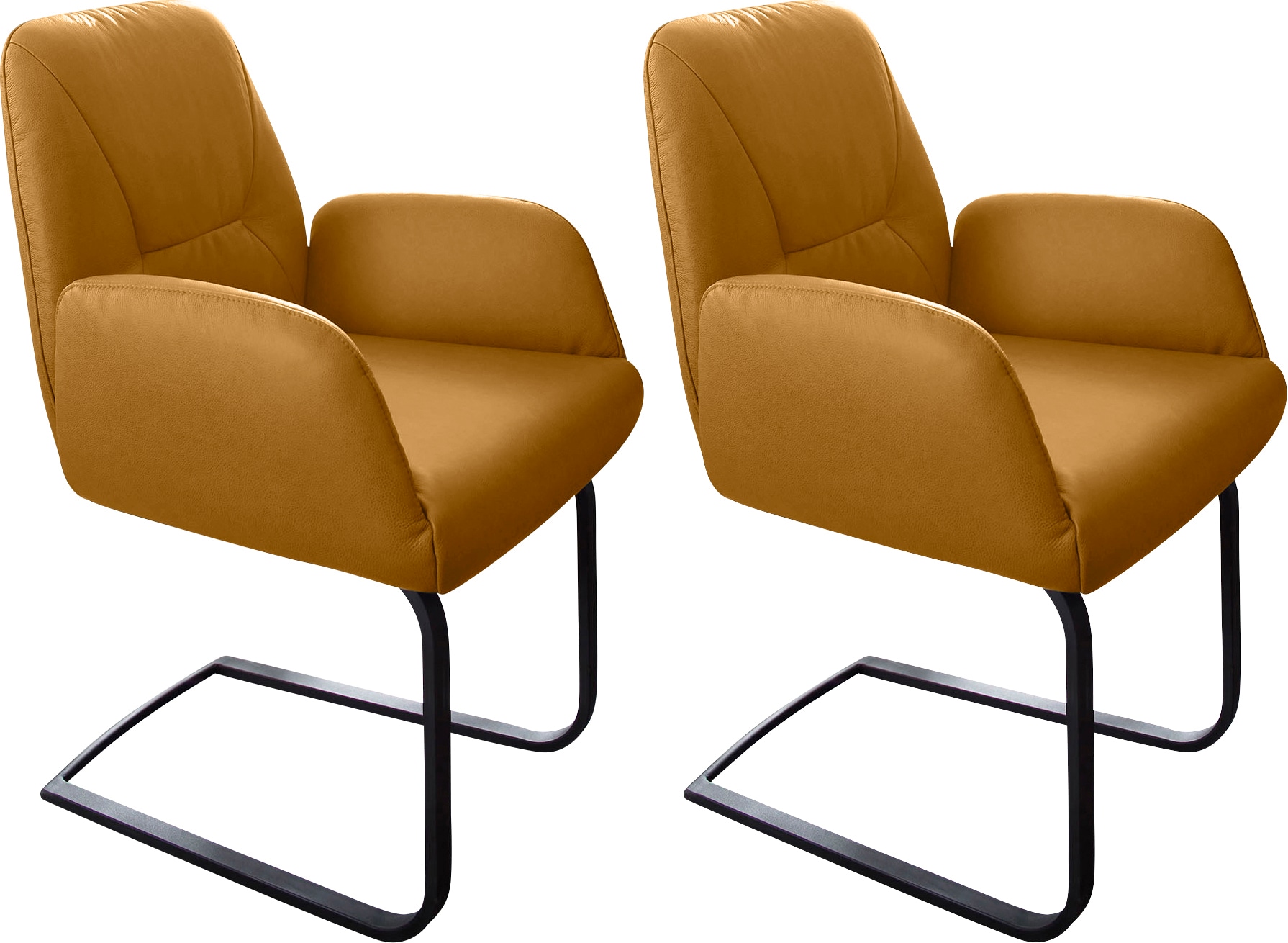 W.SCHILLIG Freischwinger "ole" (Set) 2 Stk. Longlife Xtra-Leder Z69 2er- od günstig online kaufen