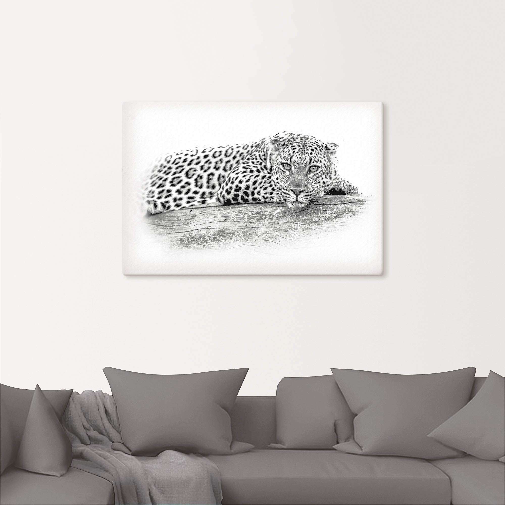 Artland Wandbild »Leopard High Key Optik«, Wildtiere, (1 St.), als Alubild, Leinwandbild, Wandaufkleber oder Poster in versch. Größen