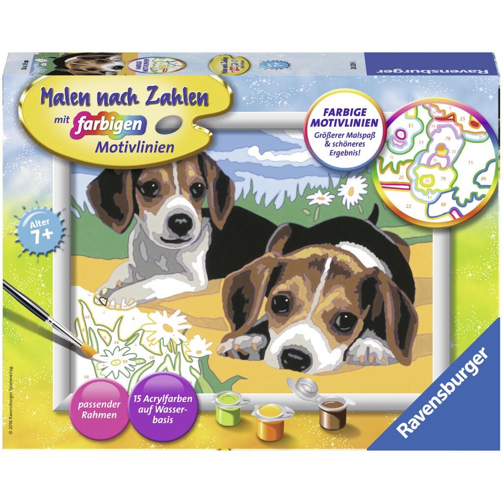 Ravensburger Malen nach Zahlen »Jack Russel Welpen«