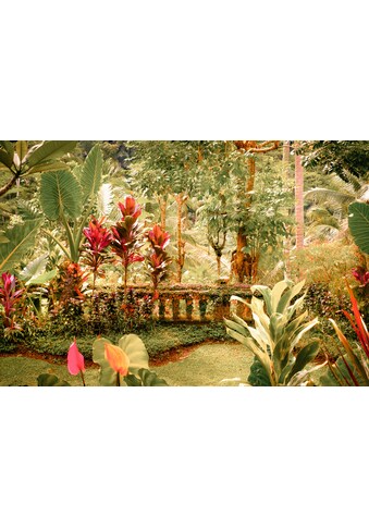 Papermoon Fototapetas »Fantasie tropischer Garte...
