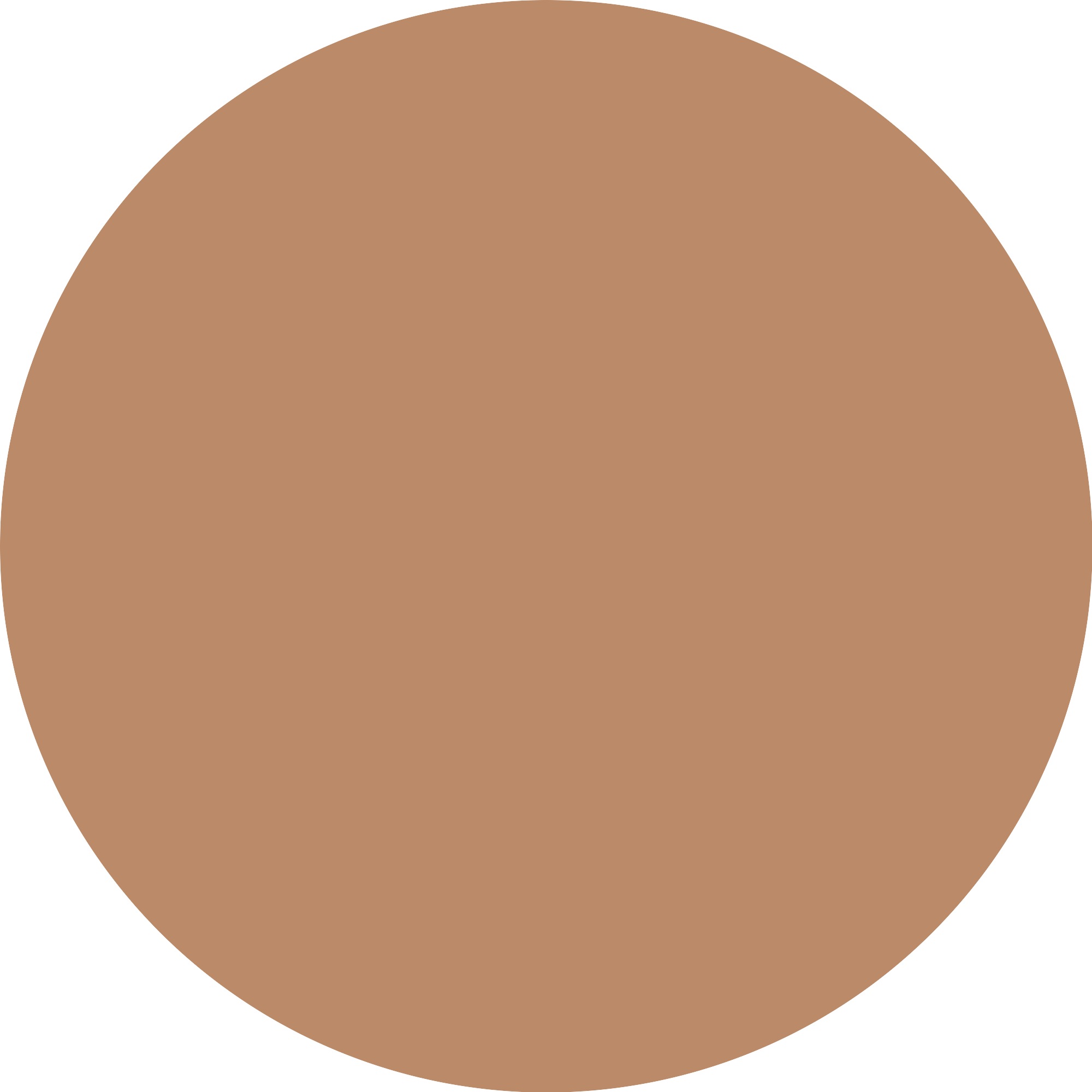 Essence Foundation »Silky BLUR HYDRATING LONGWEAR FOUNDATION«