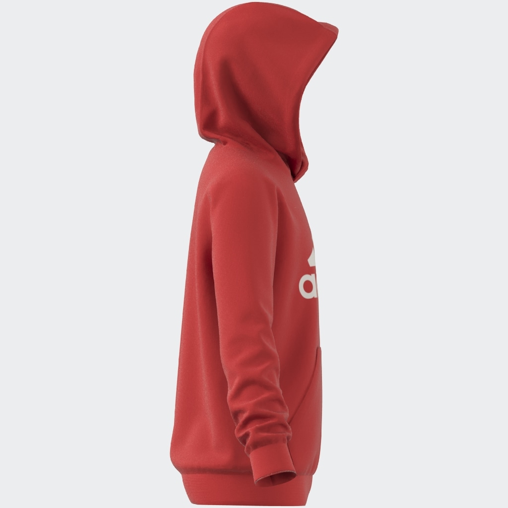 adidas Sportswear Kapuzensweatshirt »BIG LOGO ESSENTIALS COTTON HOODIE«