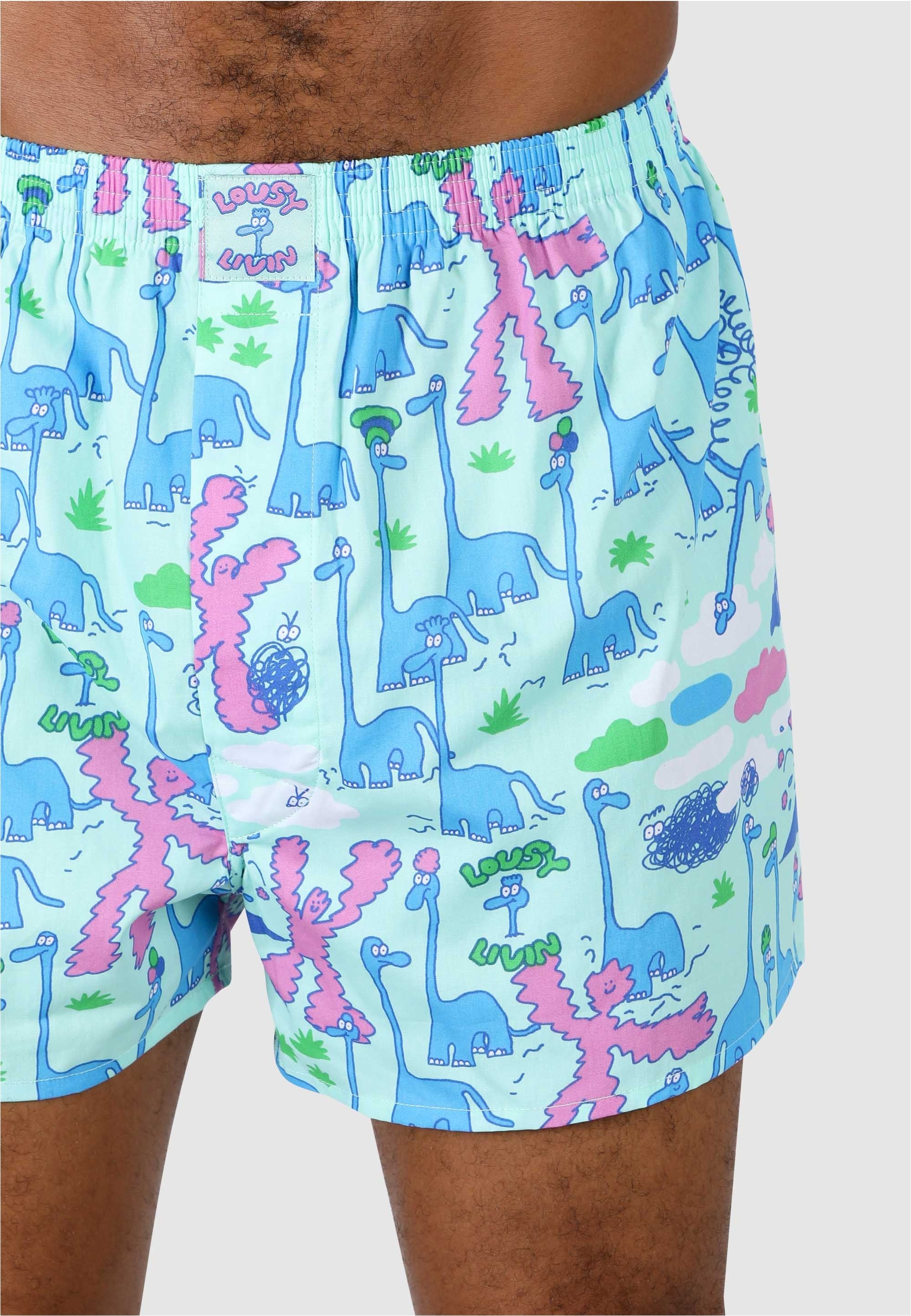 Lousy Livin Boxershorts »Dino & Greater Flamingo« 2 Stk. mit lässigen Allover-Prints