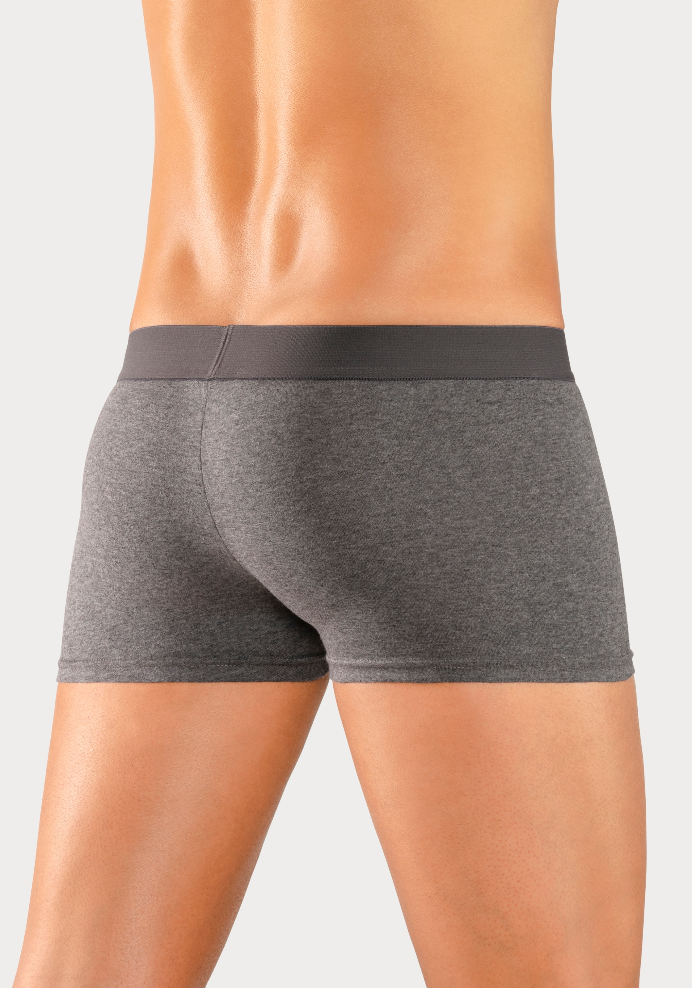 H.I.S Hipster, (Packung, 5 St.), knapp sitzende Boxershorts am Webbund mit Logoschriftzug mit 3D Effekt