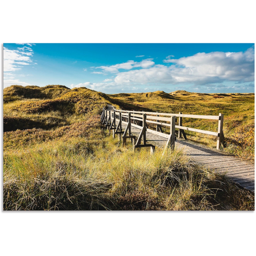 Artland Wandbild »Landschaft in den Dünen Insel Amrum«, Küste, (1 St.)