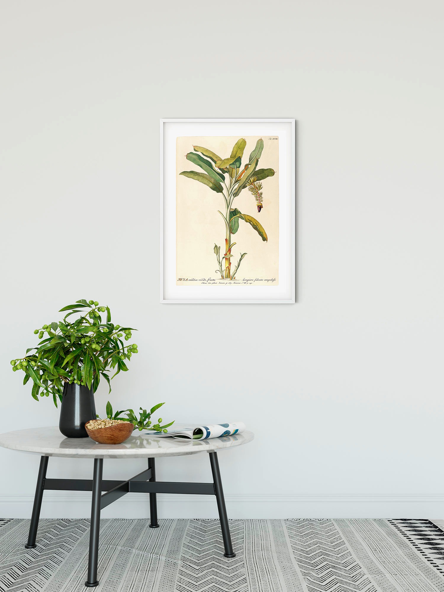 Komar Bild "Rainforest Sapling" Natur 1 Stk. tlg. Wandbild zur Dekoration - günstig online kaufen