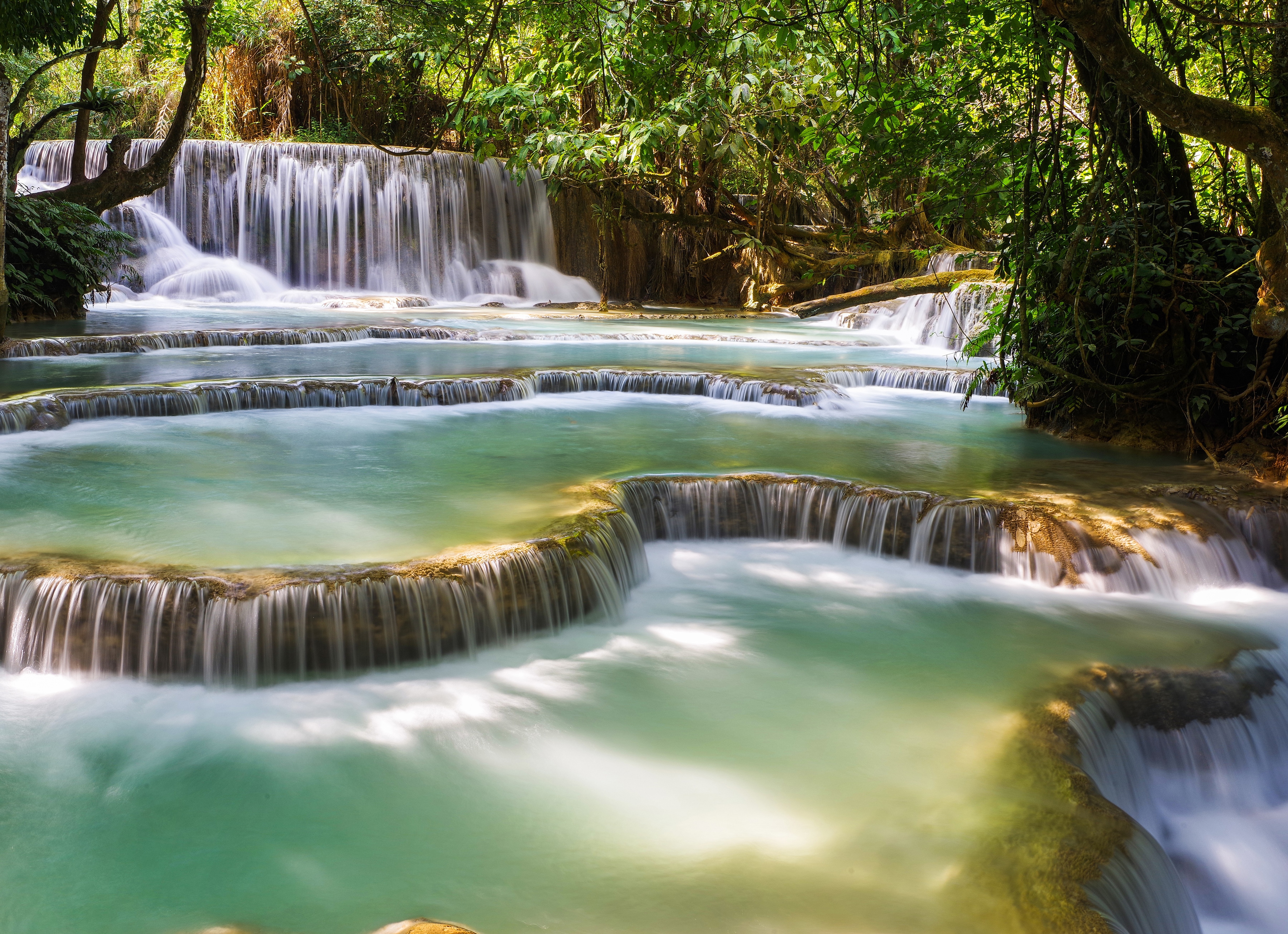Papermoon Fototapete "Forest Waterfall Laos" glatt