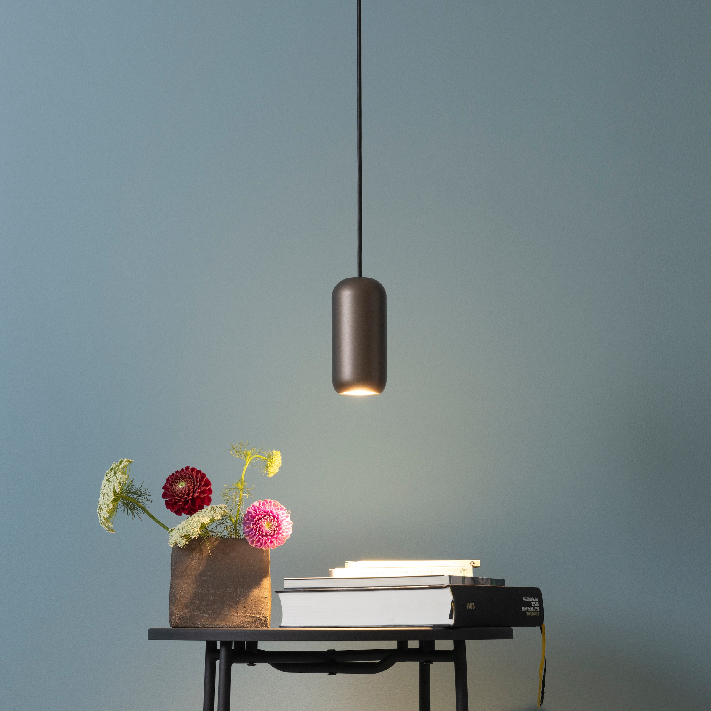 Brilliant Pendelleuchte »Jane« GU10 1 Stk. H 150 cm, GU10 Fassung, kürzbar, Metall, schwarz braun