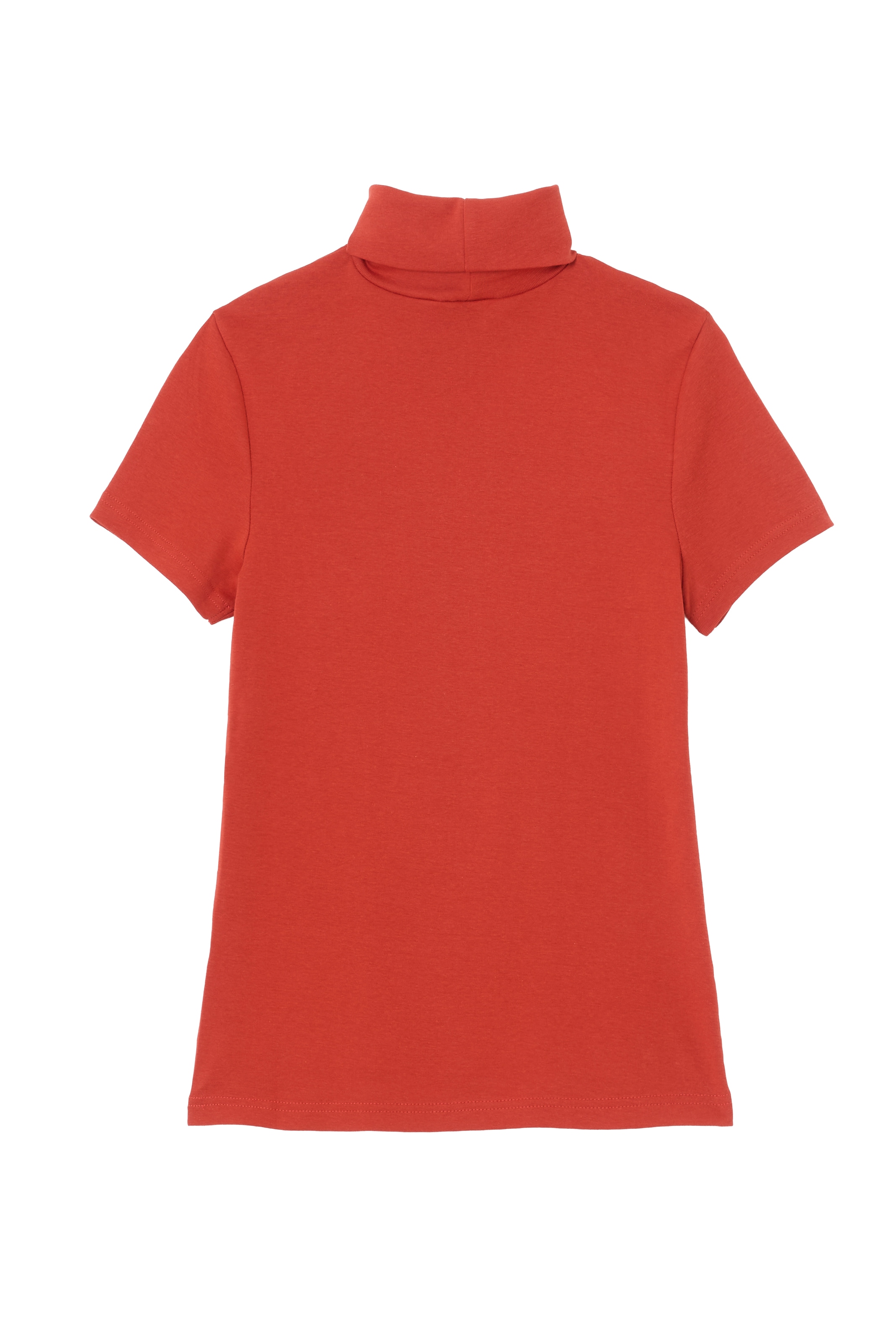 Flashlights Rollkragenshirt, (Packung, 2 tlg., 2er-Pack), eng geschnitten, aus elastischem Material, im 2er-Pack