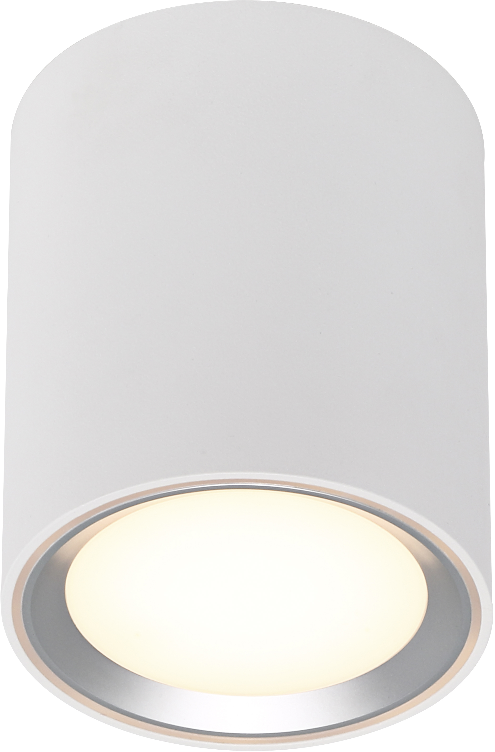 BAUR Nordlux LED »Fallon«, | Deckenlampe 1 flammig-flammig, Black Friday Deckenspot LED LED Deckenleuchte,