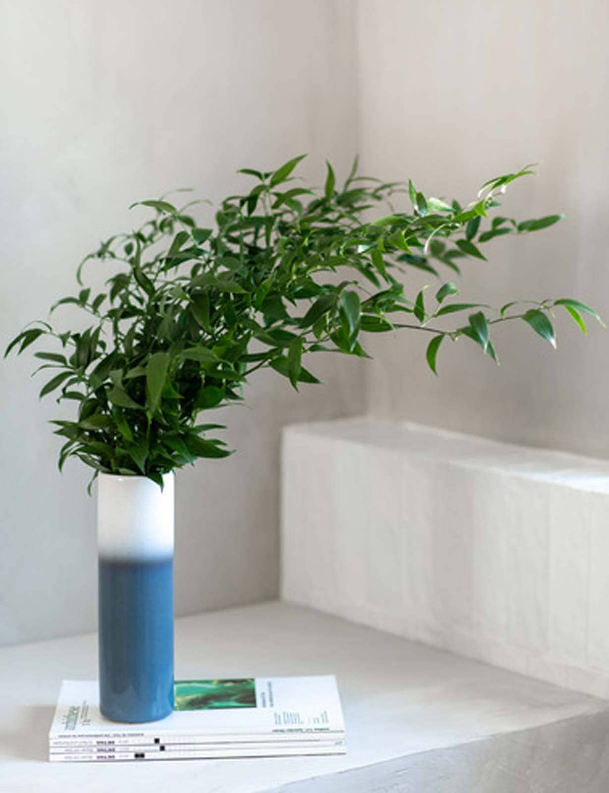 like. by Villeroy & Boch Dekovase »Vase Lave Home ¿ 25 cm weiß-blau«