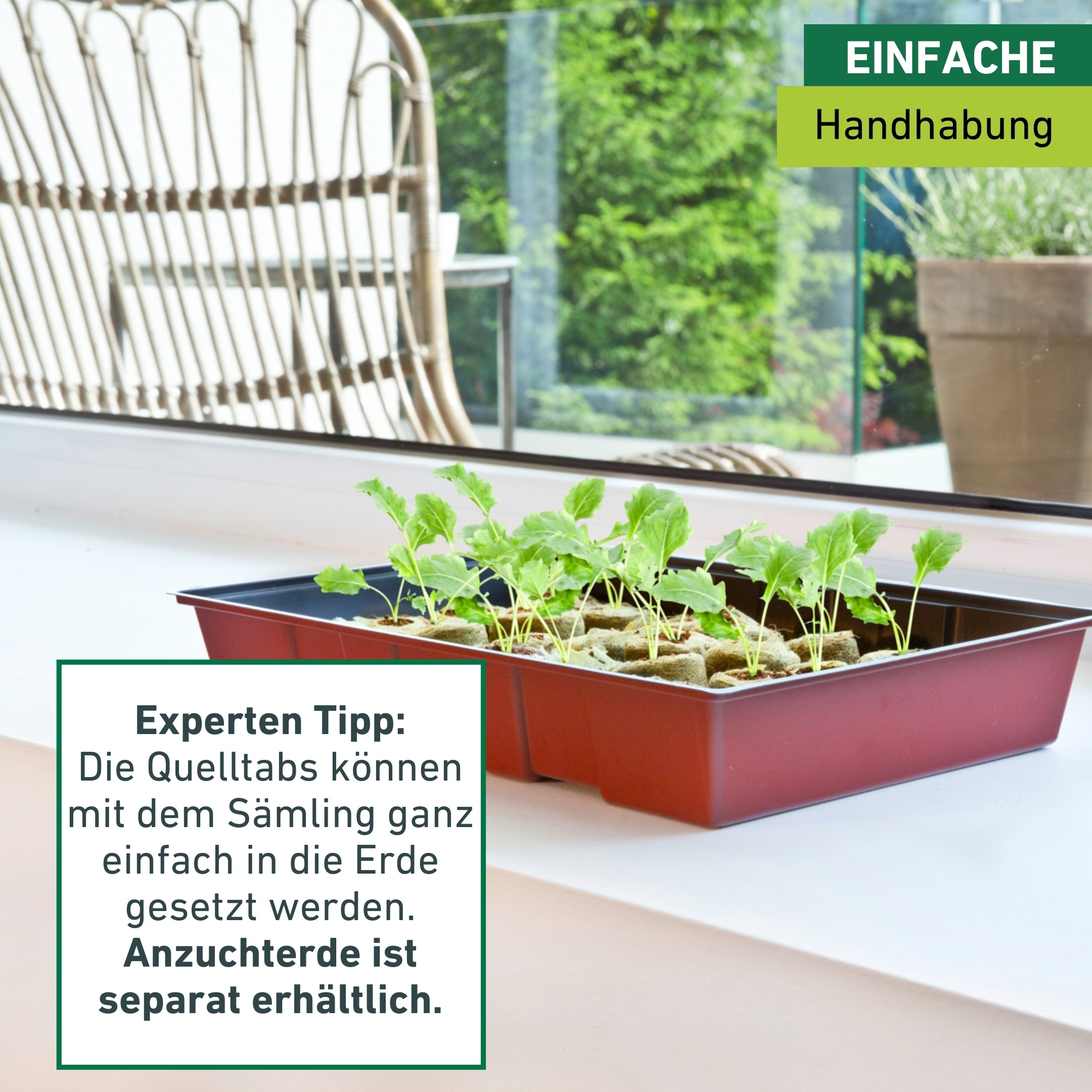 Windhager Gewächshaus »Fensterbank-Treibhaus inkl. 24 Quelltabs« Zimmer Pflanzen Anzucht, 23,5 x 35 x 11 cm, terracotta