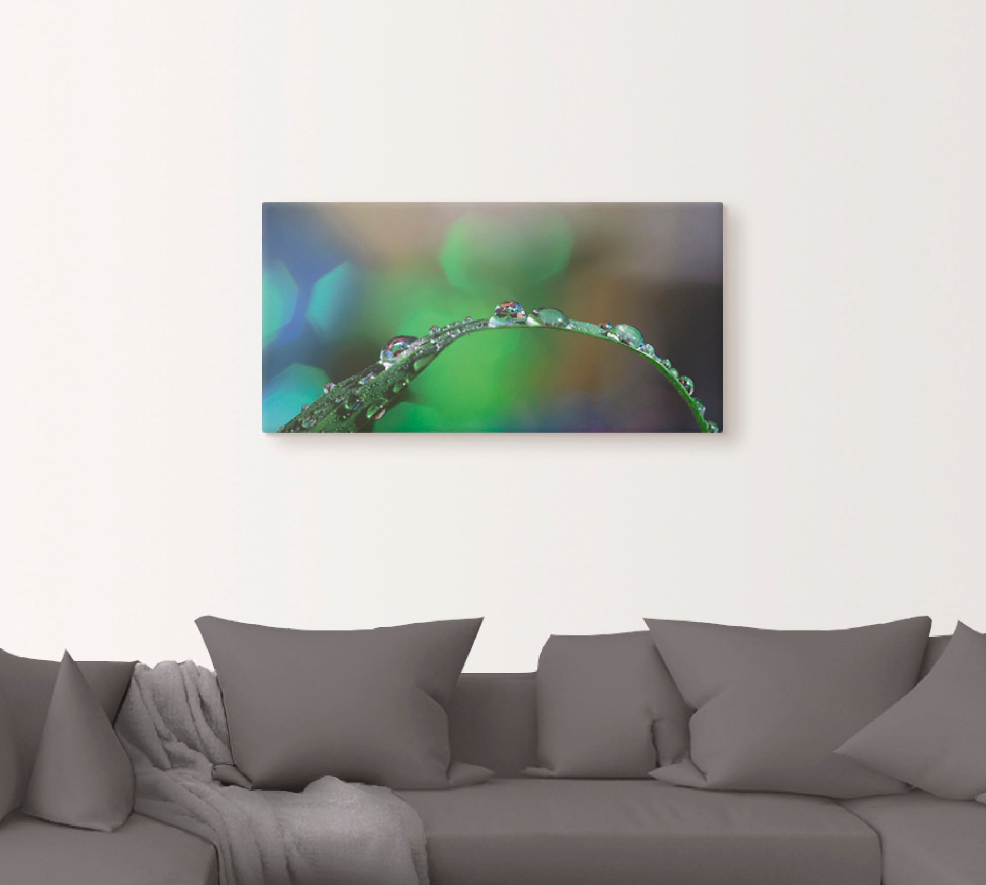 Artland Leinwandbild »Wassertropfen IV«, Gräser, (1 St.), auf Keilrahmen gespannt