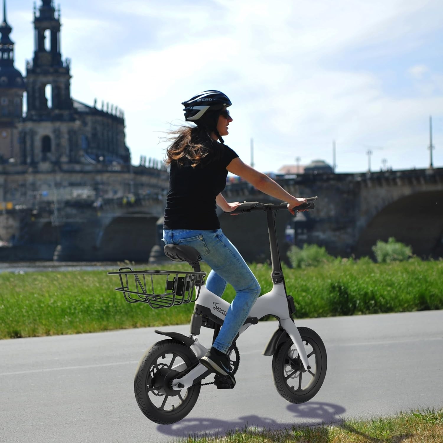 SachsenRad Fahrradkorb »Pro für SachsenRAD F11 F12«