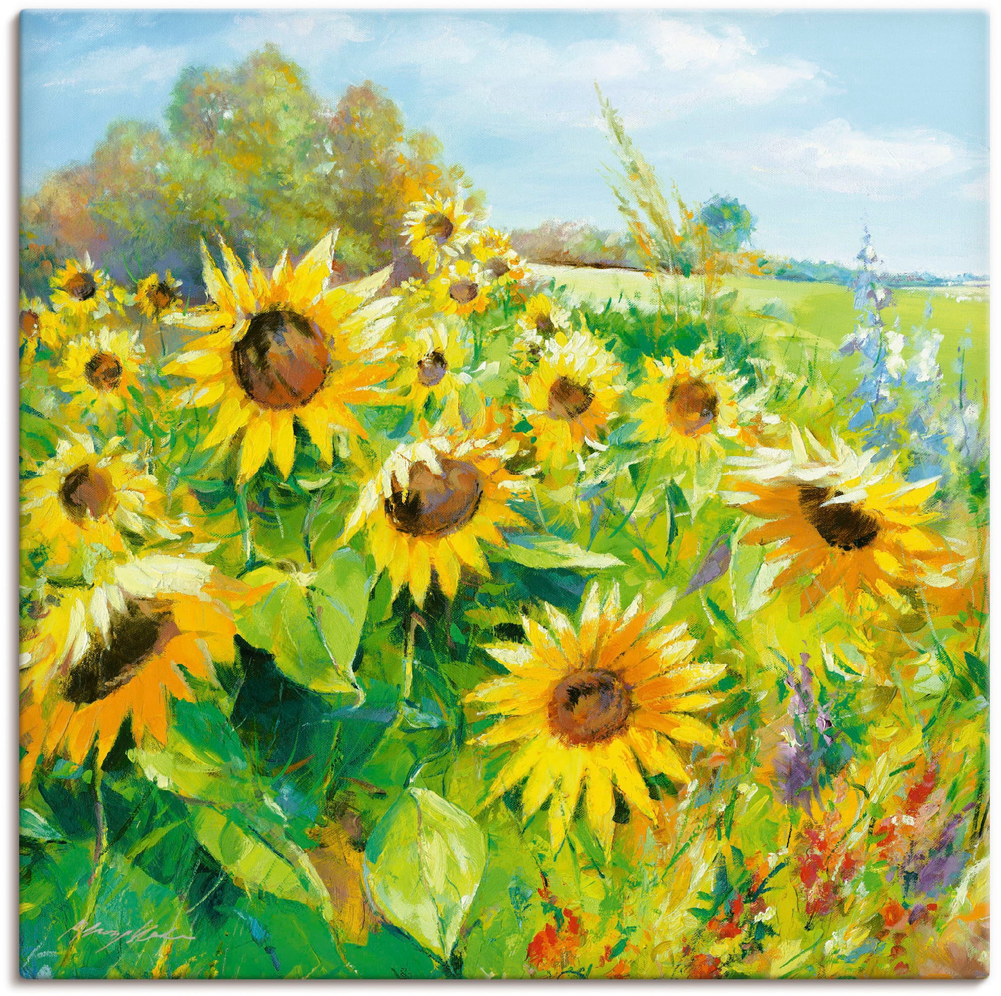 Artland Wandbild »Sommerwiese mit Sonnenblumen«, St.), oder Poster BAUR Alubild, | Größen Wandaufkleber (1 als Blumenwiese, versch. in Leinwandbild, kaufen