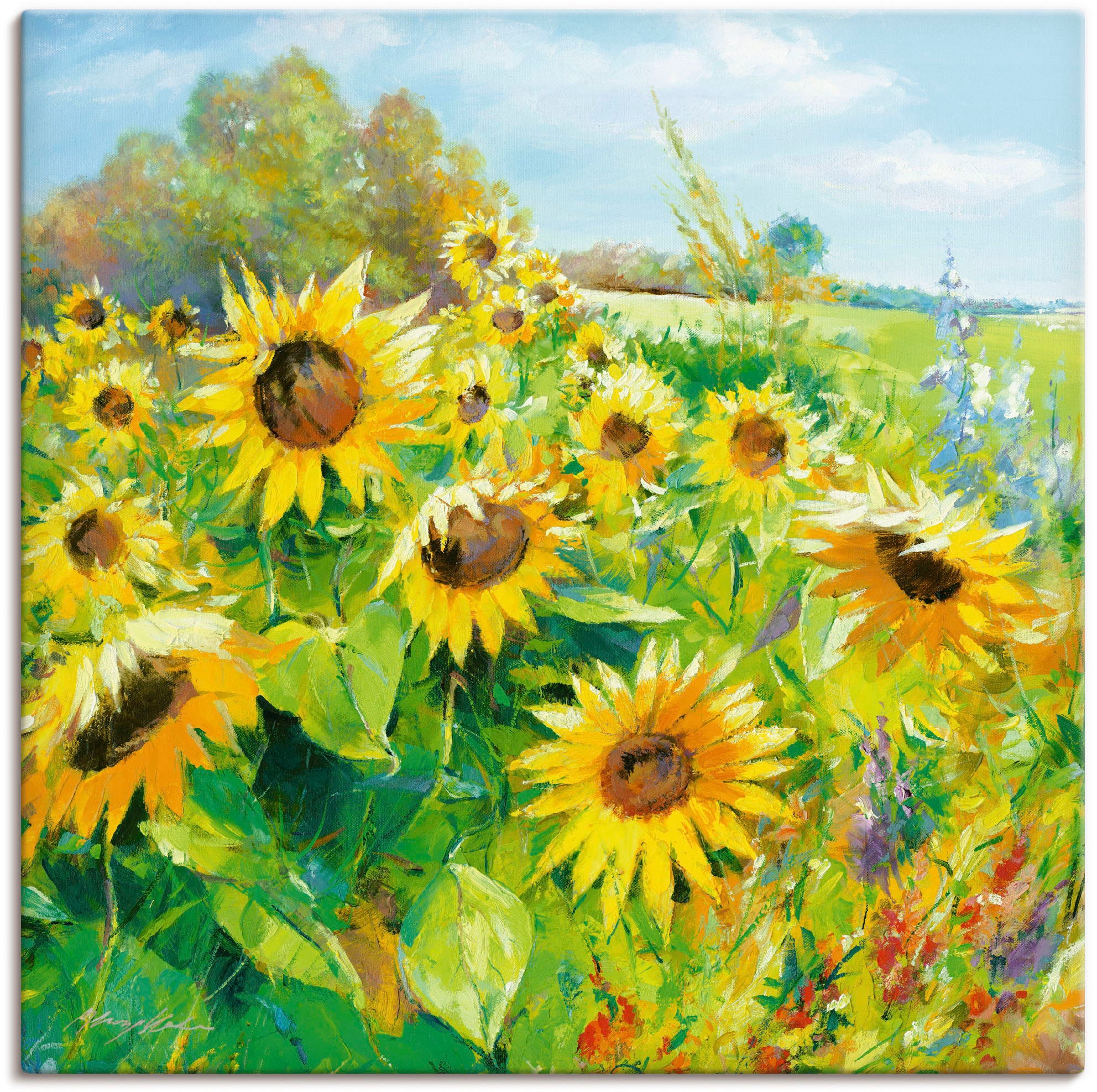Artland Wandbild "Sommerwiese mit Sonnenblumen", Blumenwiese, (1 St.), als günstig online kaufen