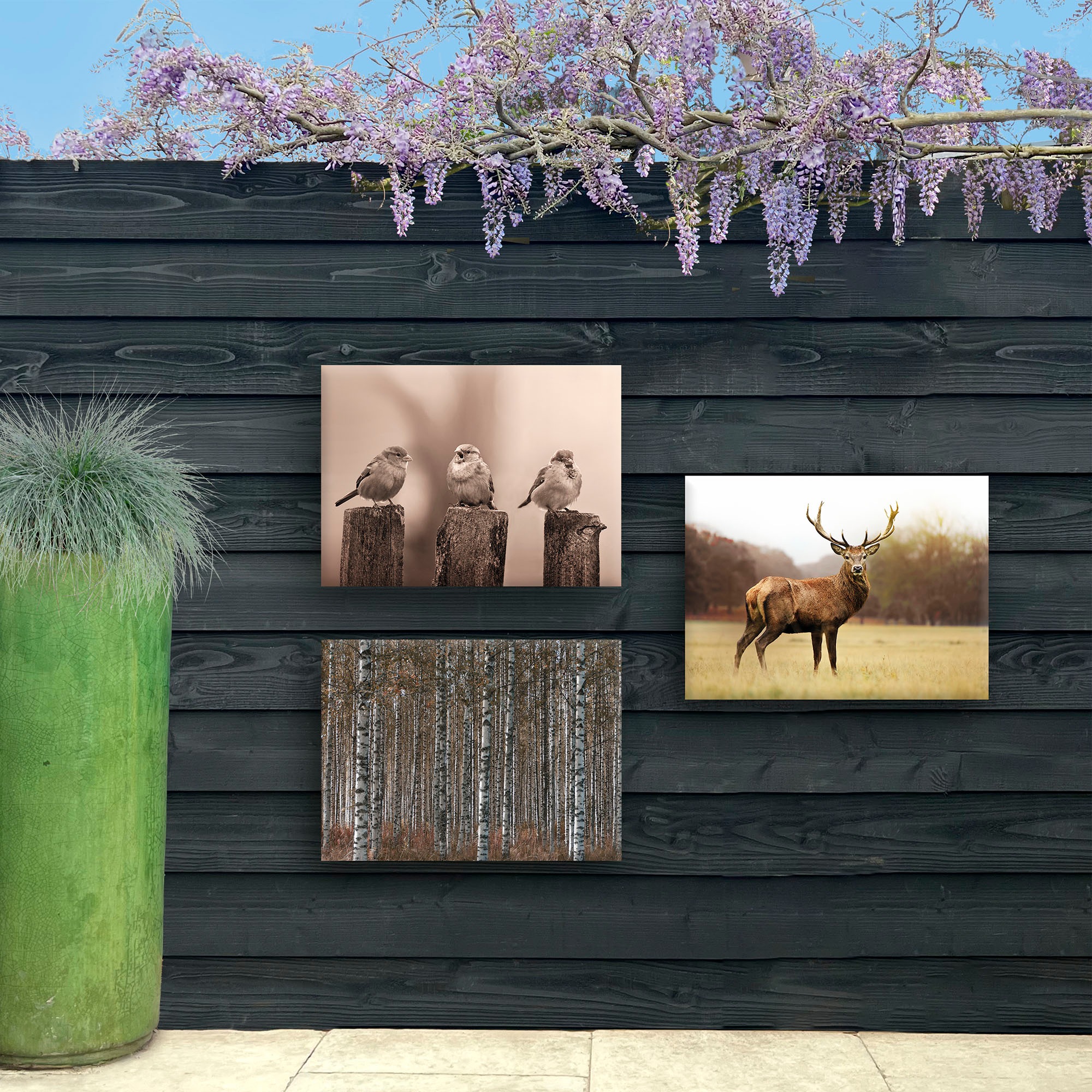 Art for the home Leinwandbild »Outdoor Vogel 50x70cm«, Landschaften, (1 St.)