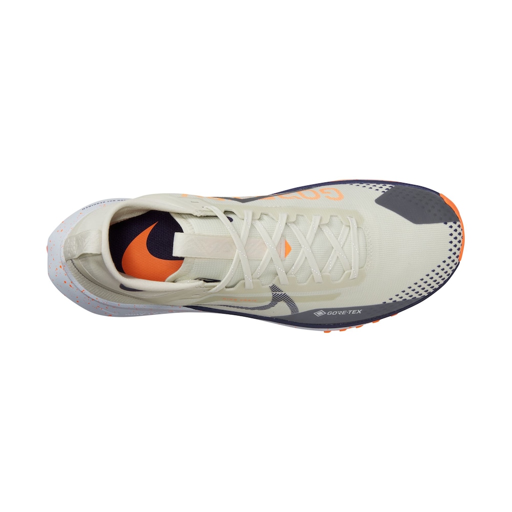 Nike Laufschuh »PEGASUS TRAIL 4 GORE-TEX WATERPROO«