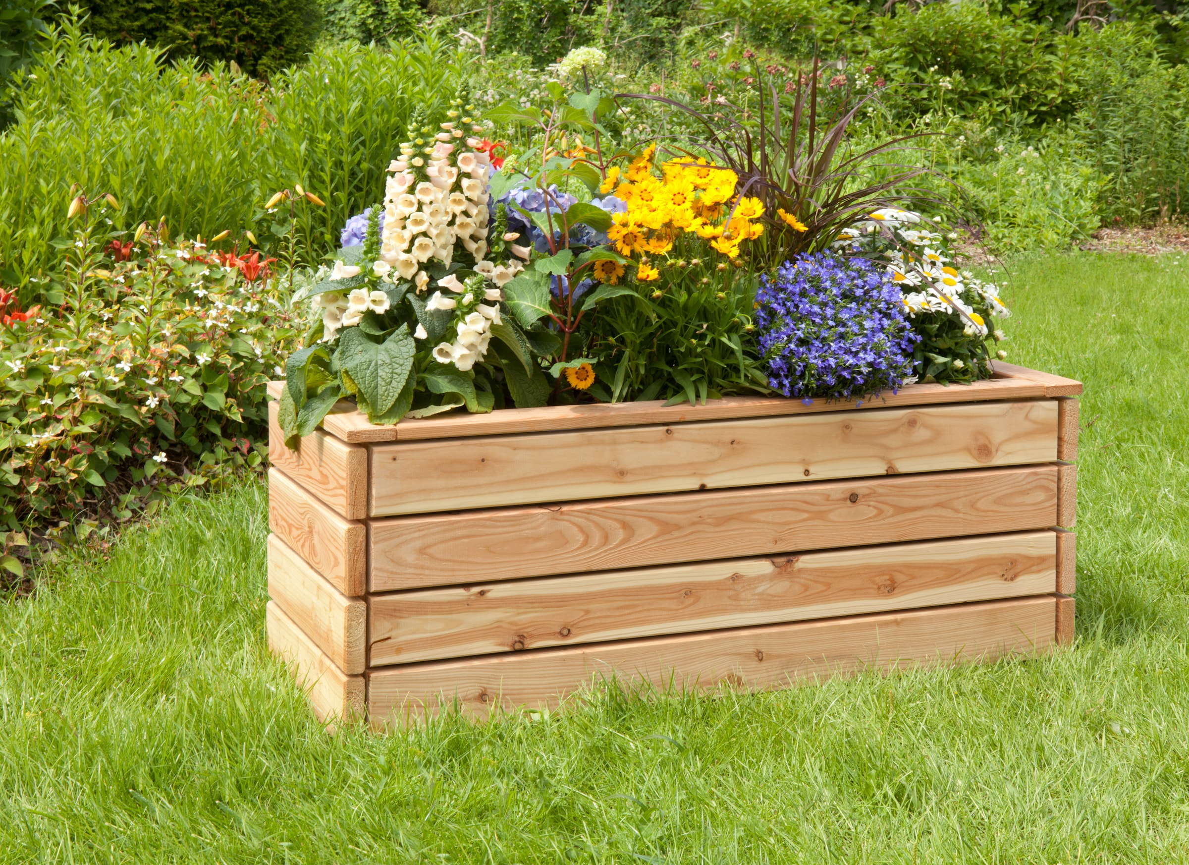 KONIFERA Pflanzkübel "aus langlebigem Lärchenholz" BxTxH: 80x40x43 cm