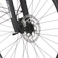 FISCHER Fahrrad E-Bike »VIATOR 5.0i Herren 504«, 10 Gang, (mit Akku-Ladegerät-mit Werkzeug)