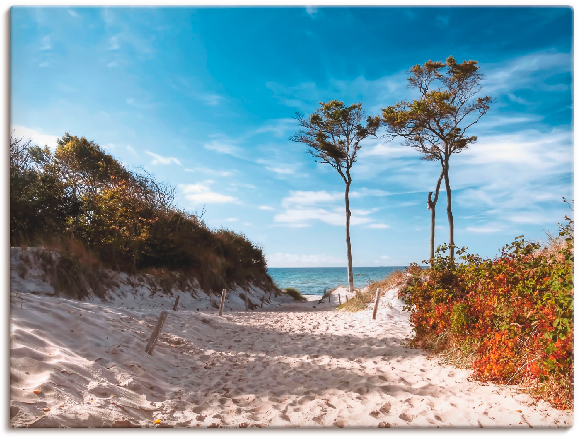 Artland Leinwandbild "Weststrand Darss" Strand 1 Stk. tlg. auf Holzrahmen gespannt