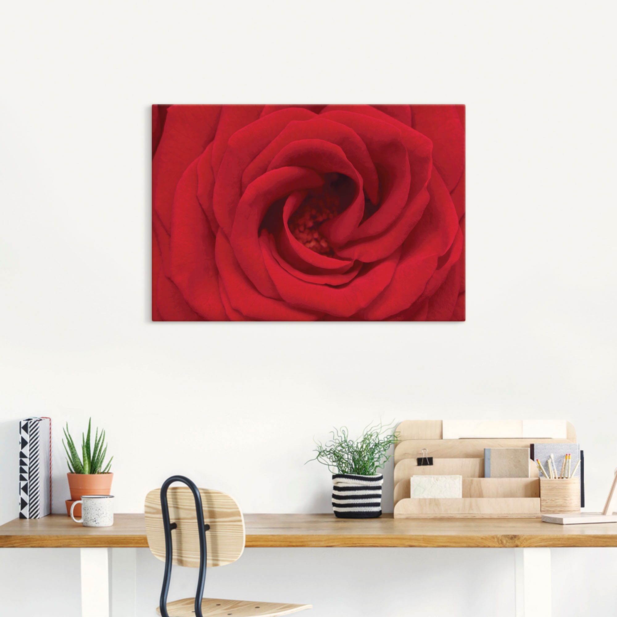 Artland Leinwandbild "Rote Rose" Blumen 1 Stk. tlg. auf Holzrahmen gespannt günstig online kaufen