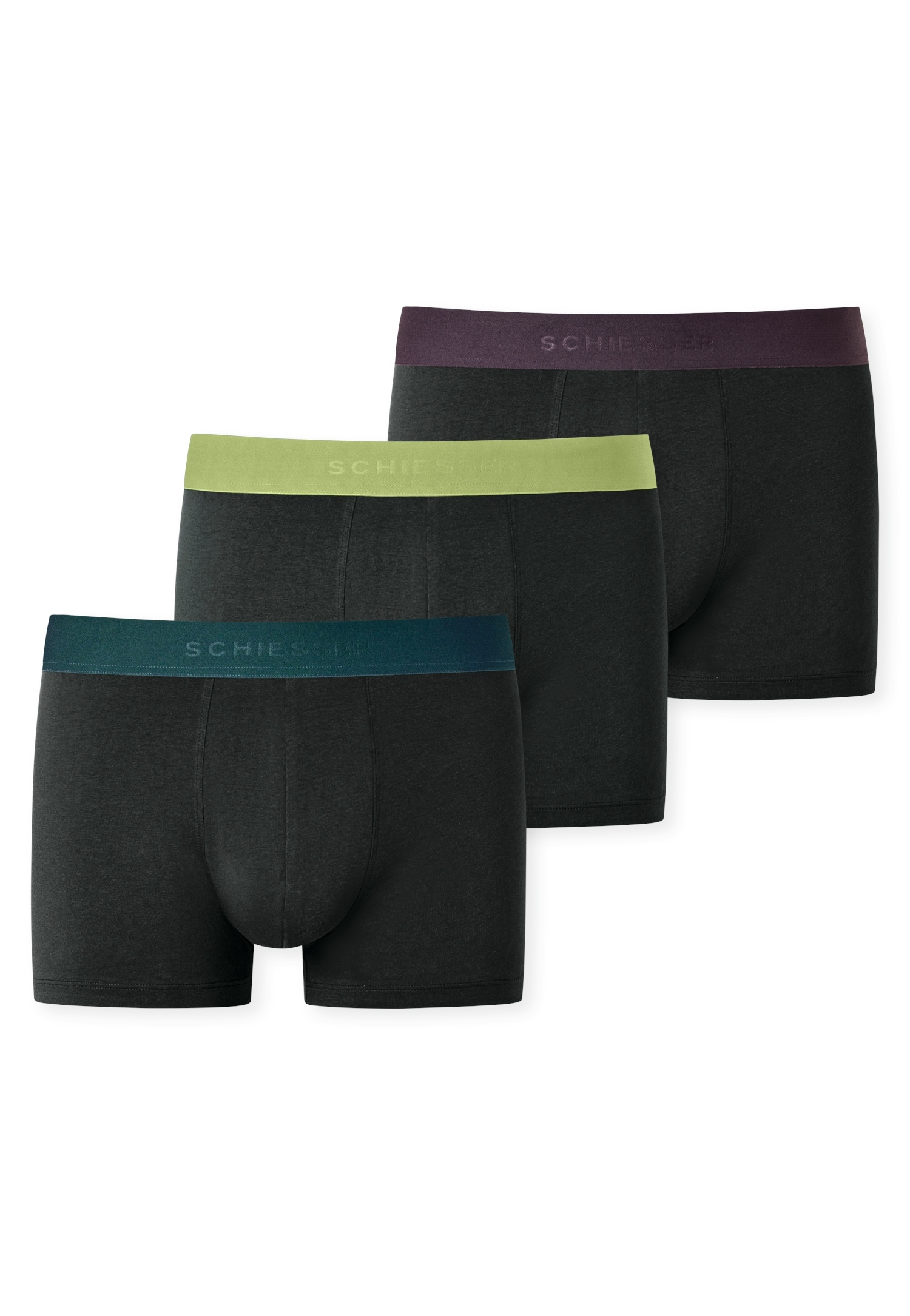 Boxershorts »"95/5"«, (3er-Pack), mit farblich abgesetztem, sportlichem Logo-Webgummibund