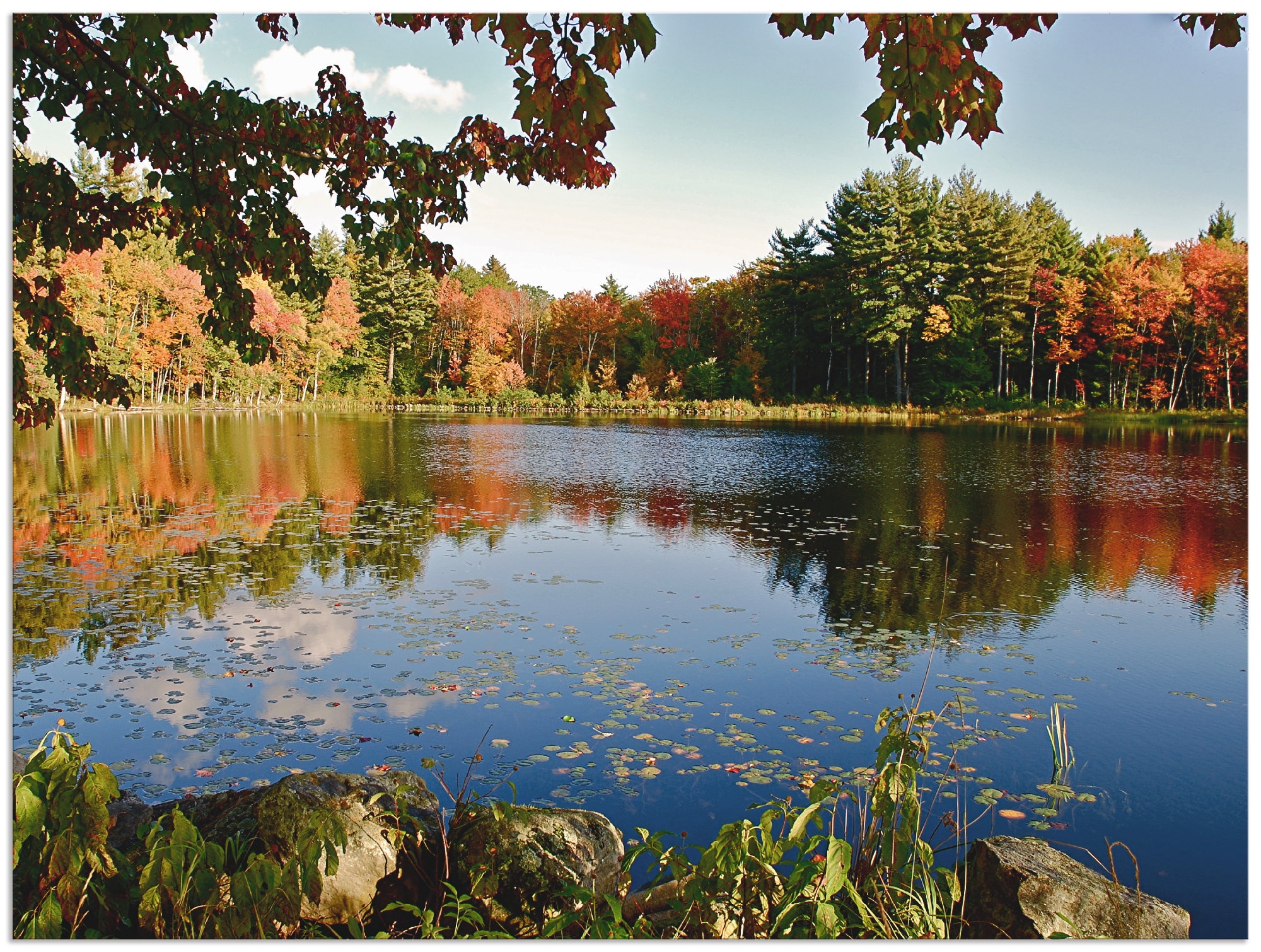 Alu-Dibond-Druck »Landschaft New England«, Vier Jahreszeiten, (1 St.), für Innen- und...