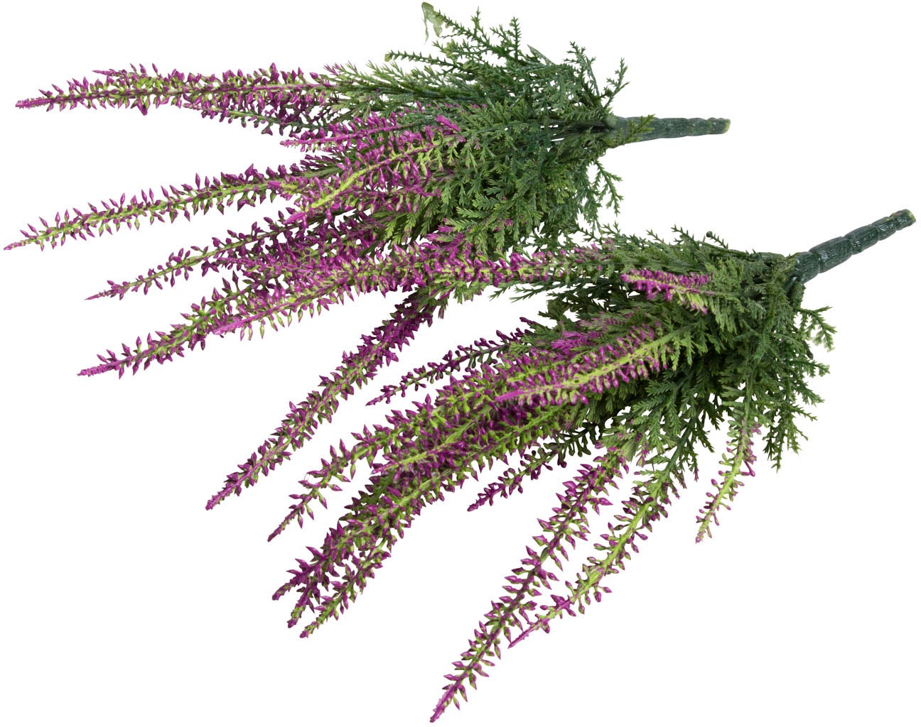Botanic-Haus Kunstblume »Erikabusch mit 15 Stielen«, (Set, 2 St.) kaufen