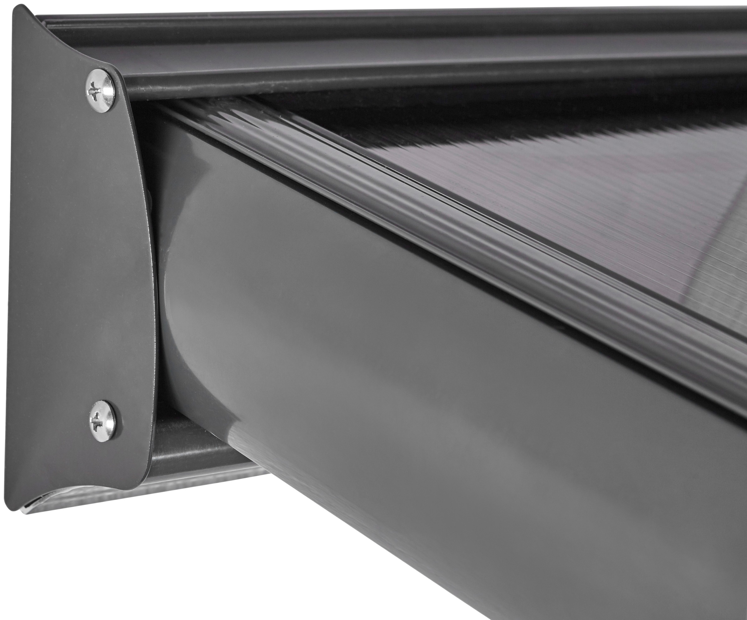 Thumbnail - KONIFERA "Barcelona" in verschiedenen Größen