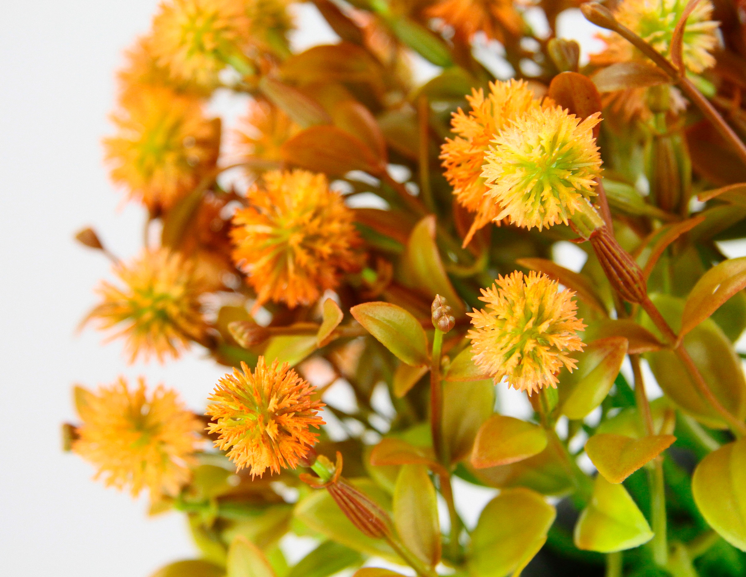 I.GE.A. Kunstpflanze »Margerite im Topf«, BAUR Künstliche | Tischdeko kaufen Kunstblumen Deko Busch Blumen Pflanze Blütenbusch