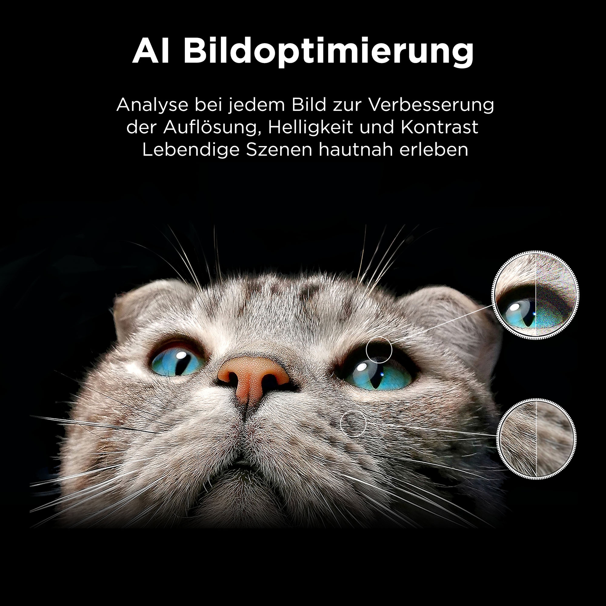 TCL QLED-Fernseher »65P71KX1« 164 cm/65 Smart-TV Multi-HDR , Dolby Vision, Smart TV, Airplay2, Dolby Atmos, Game Master