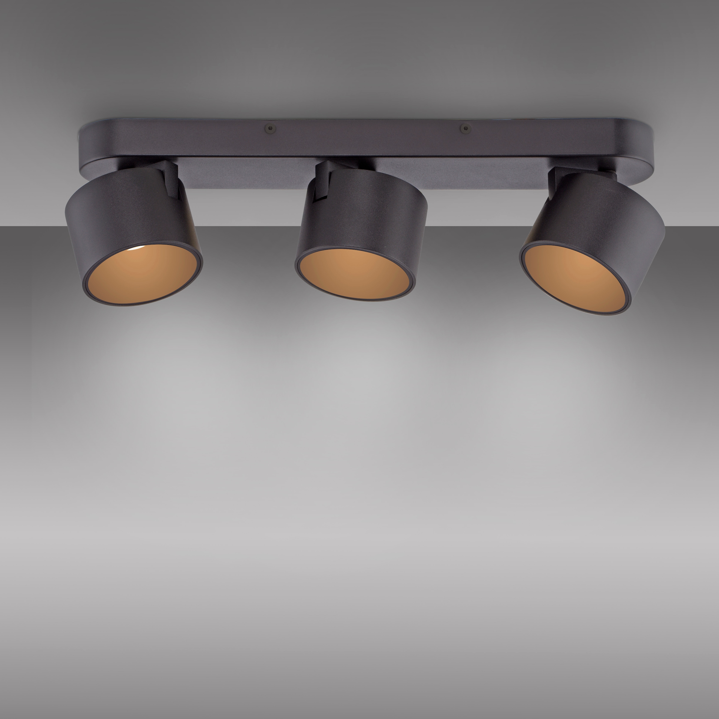 Neuhaus PURE LED Deckenleuchte »PURE Cup« LED-Board 1 Stk. Warmweiß Dimmfähig über separaten Tronicdimmer, dreh- & schwenkbar