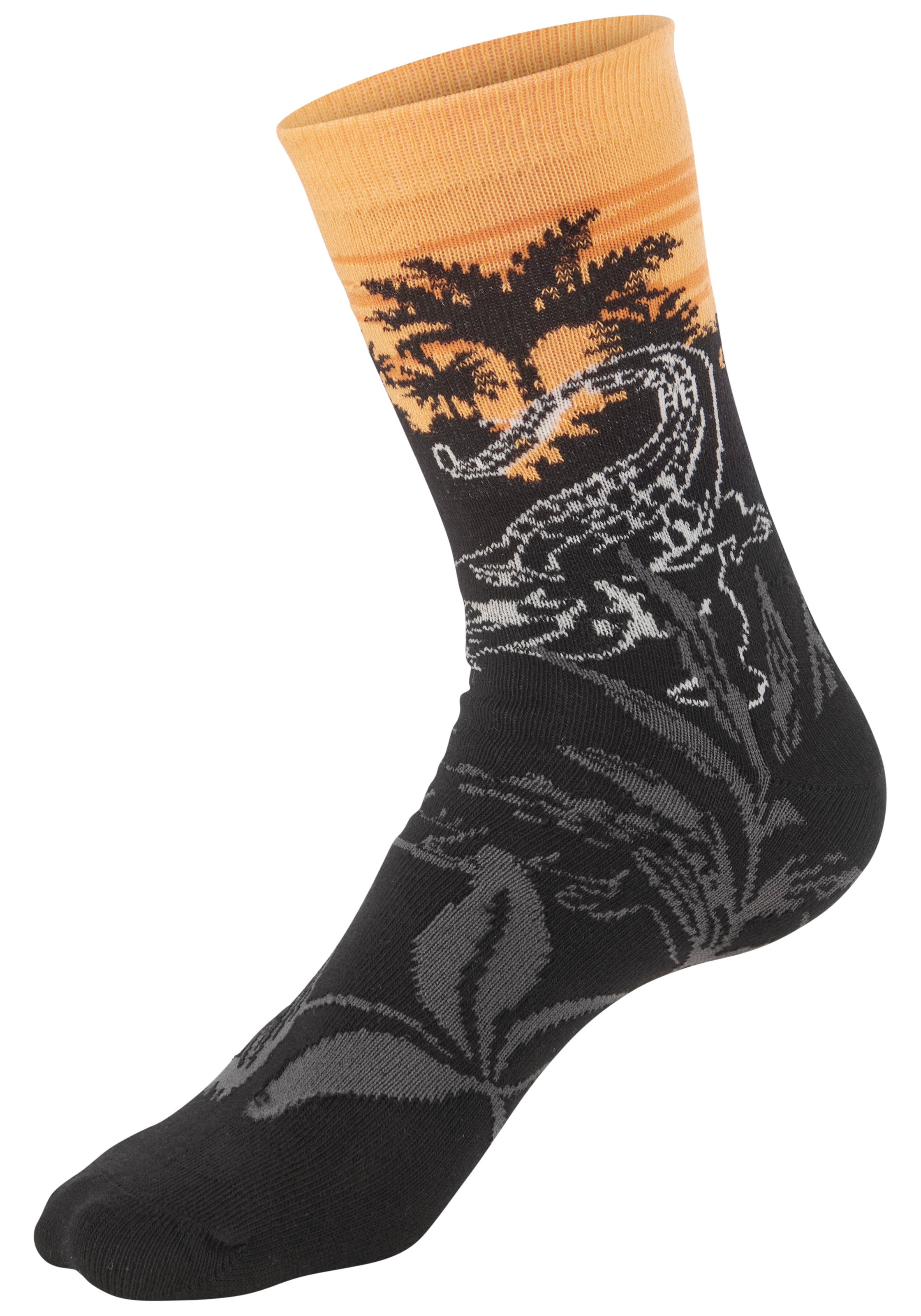 H.I.S Basicsocken Packung, 5 Paar tlg. mit aufwendigen Designs