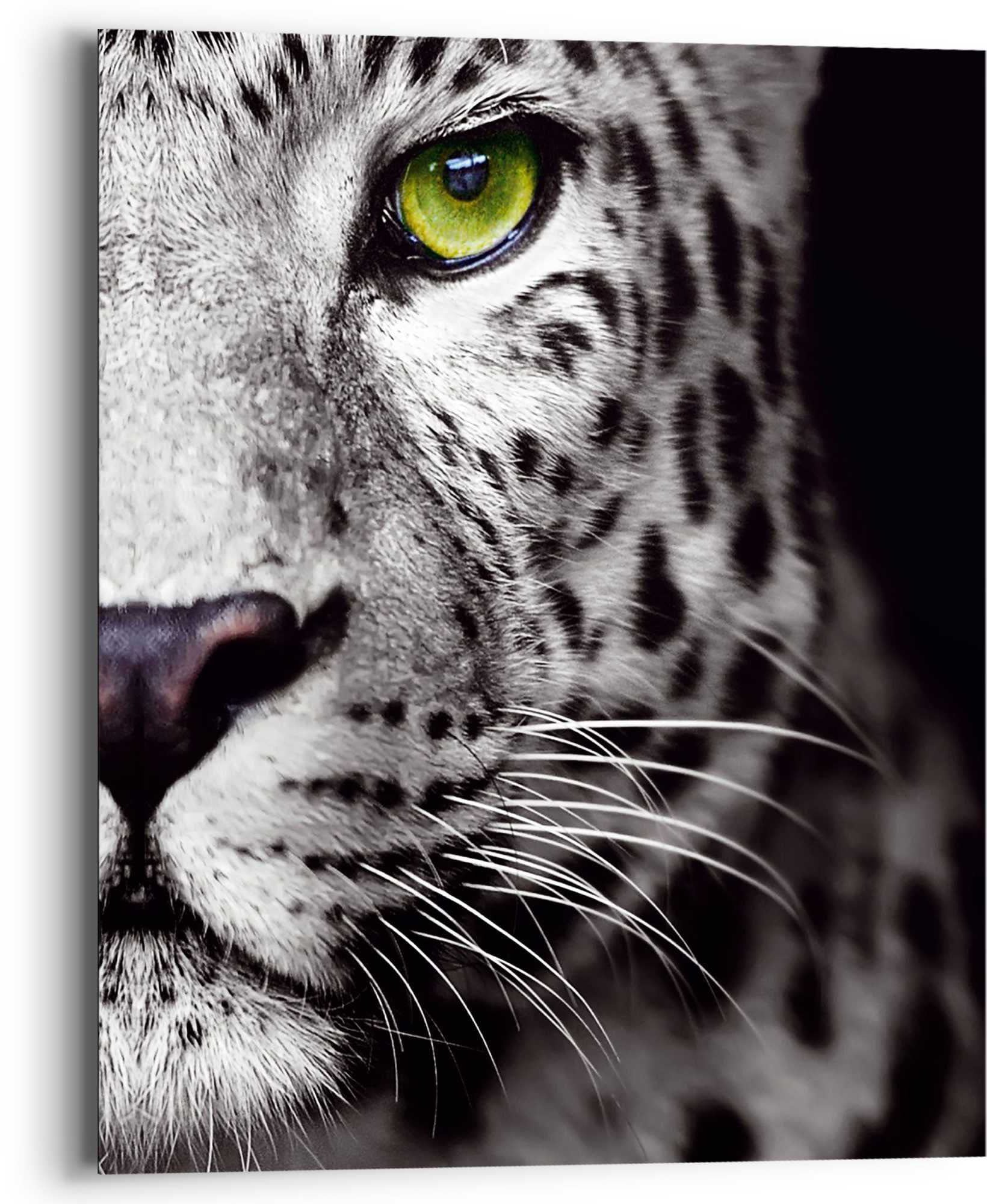 Reinders! Wandbild Tiere, (1 Kräftig Auge BAUR Panthers »Wandbild St.) Raubetier Leopard«, - kaufen - 