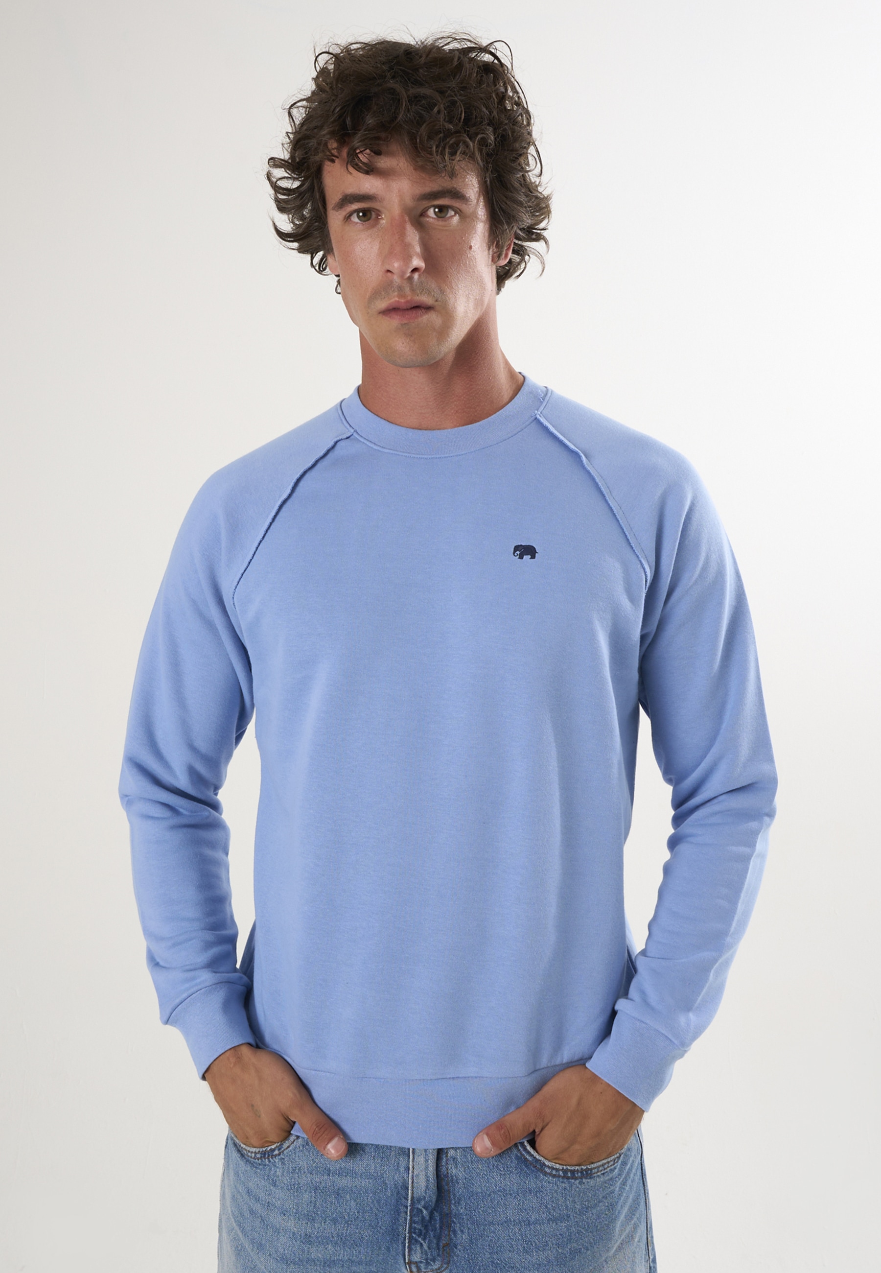 Felix Hardy Sweater "Basic Rundhals Sweatshirt" günstig online kaufen