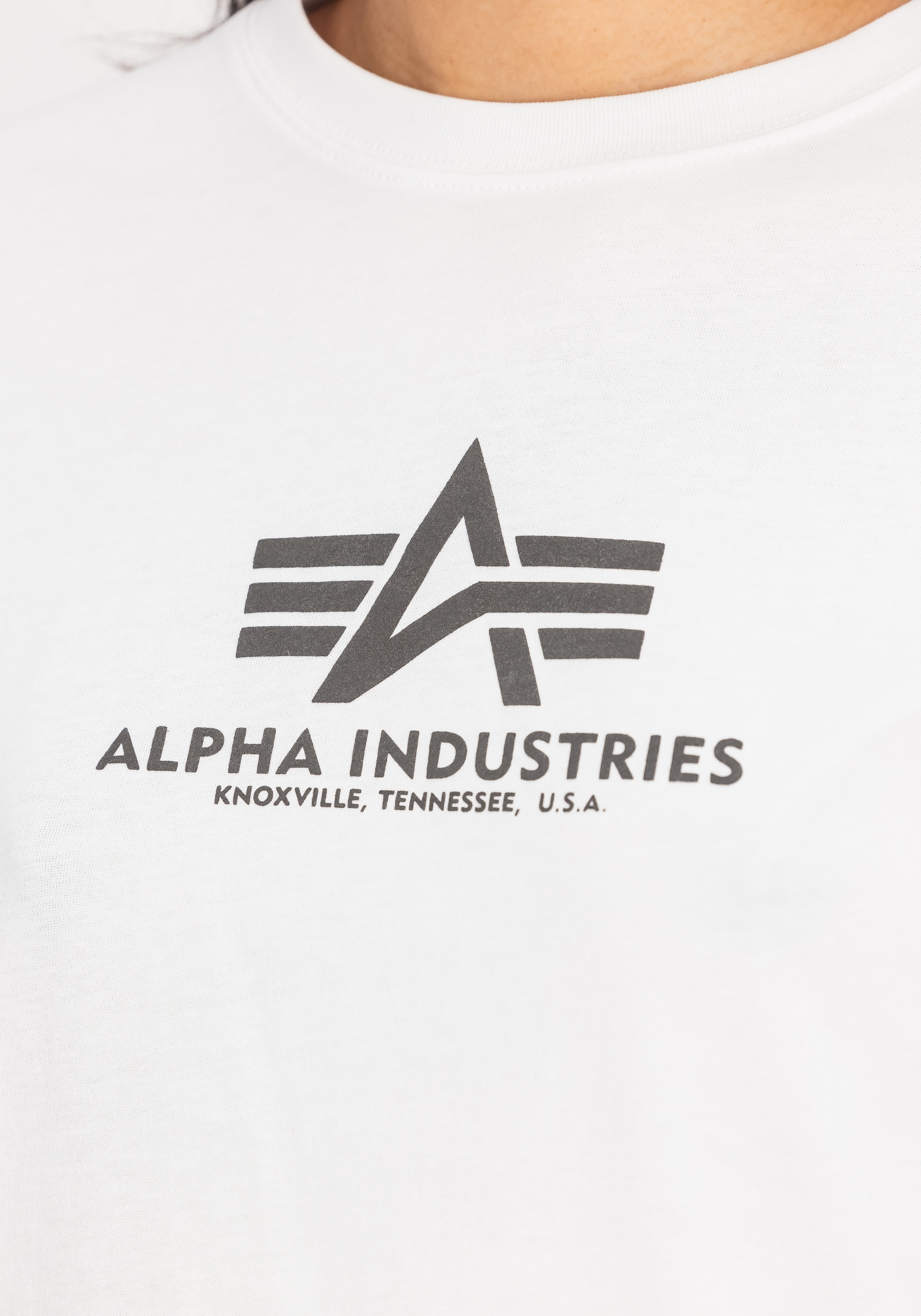Alpha Industries T-Shirt »Basic T-Shirt BL Puff Print W«