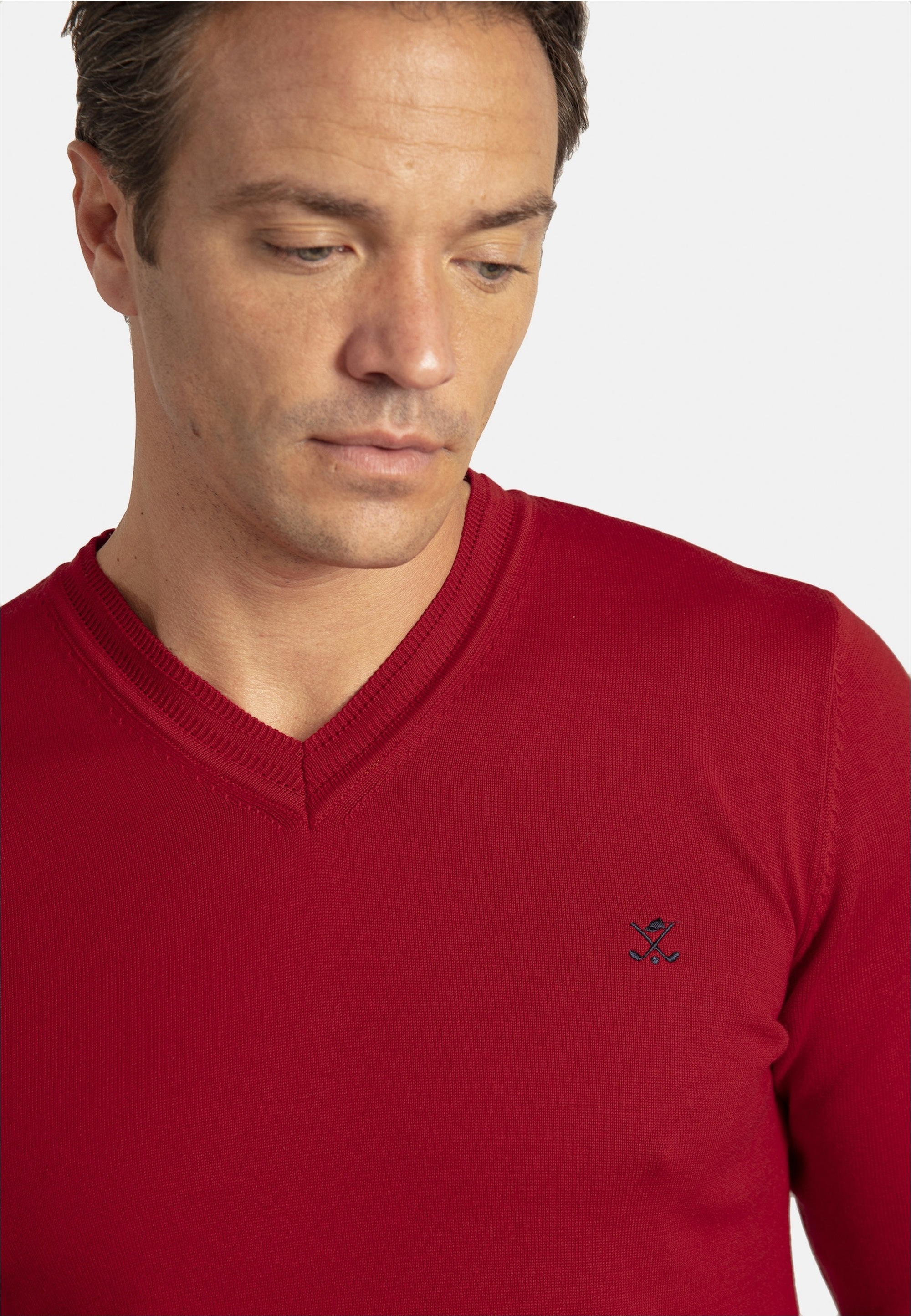 SIR RAYMOND TAILOR Strickpullover »Los Angeles«, (1 tlg.), mit klassischem V-Ausschnitt