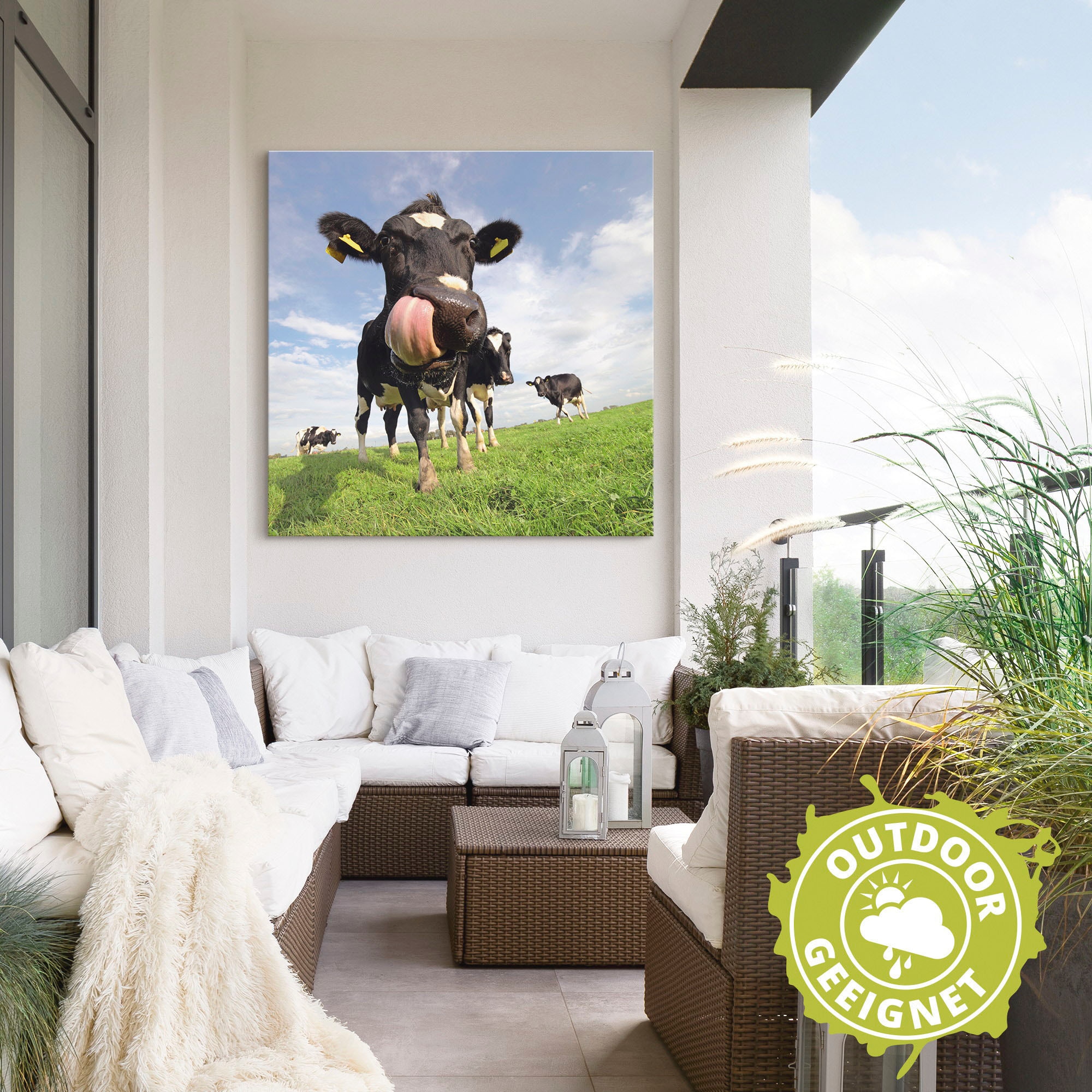 Artland Wandbild »Holstein-Kuh mit gewaltiger Zunge«, Haustiere, (1 St.), als Alubild, Outdoorbild, Leinwandbild, Poster, Wandaufkleber