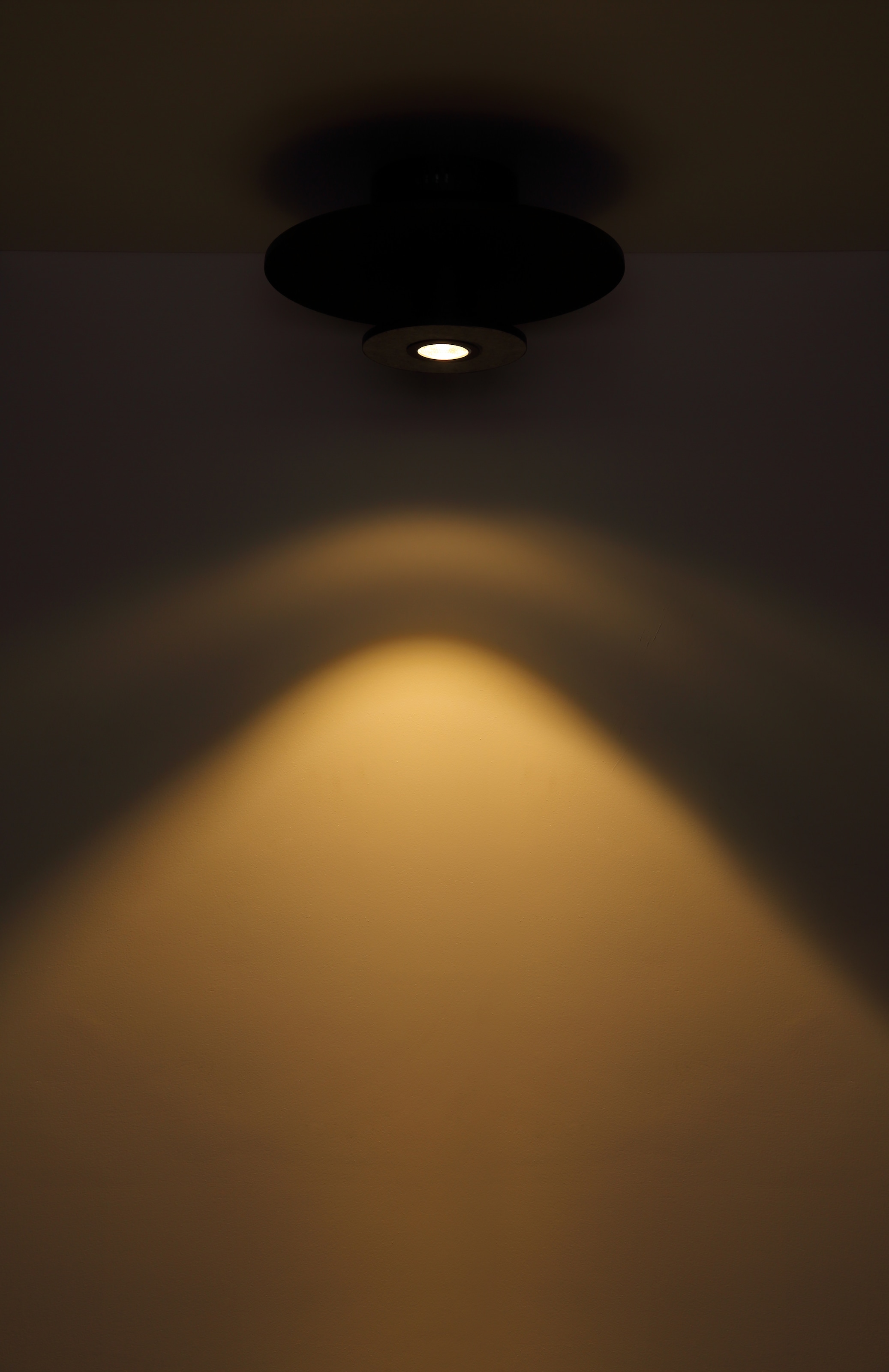 GLOBO LIGHTING LED Pendelleuchte »CARTER«, Leuchtmittel LED-Modul | LED fest integriert, Hängelampe/Pendelleuchte/3 Stufen bei Lichtschein/Höhe kürzbar